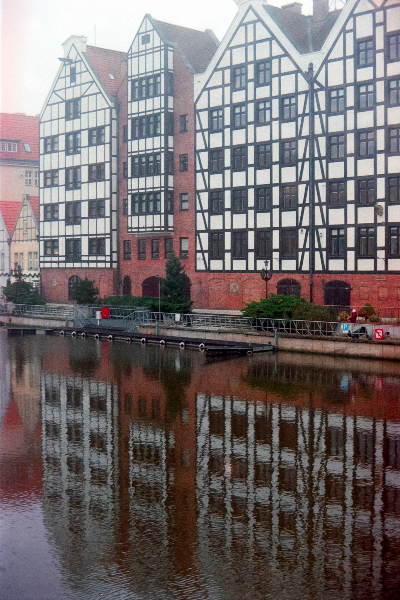 Nikon F5 | Nikkor AF-I 50mm F1.4 | Kodak Pro Image 100 100Lab developed in