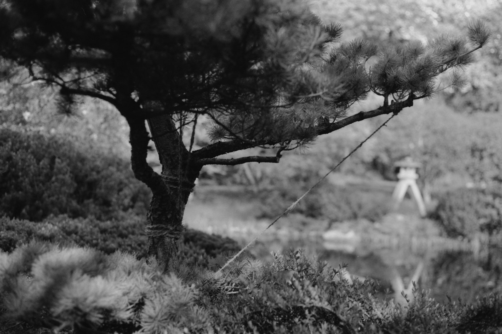 Canon AV-1 | Ilford Delta 100Scanned with Epson V600Home developed in DD-X 1:9 | 45min/20ºC | Stand