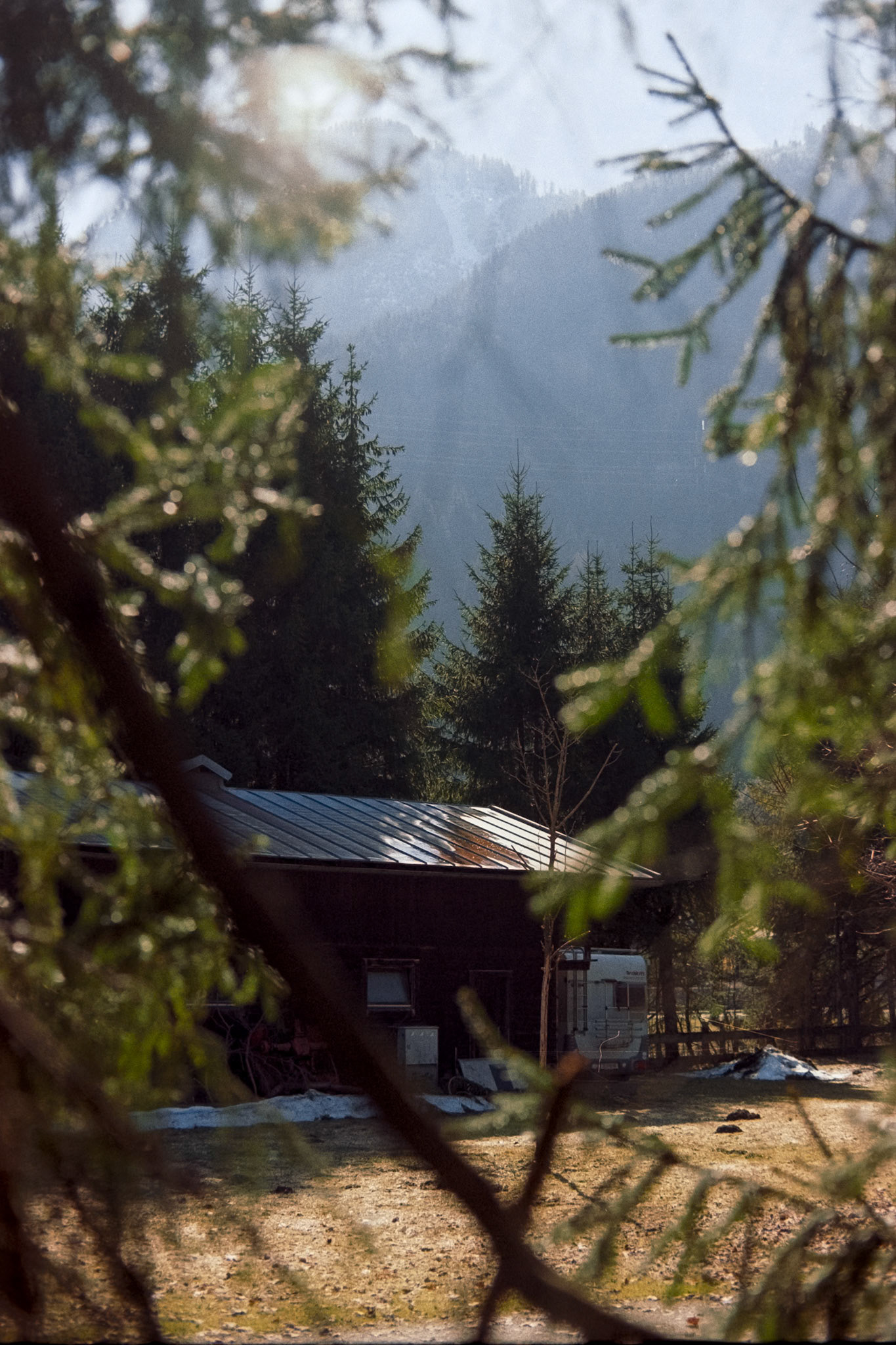 Nikon F5 | Kodak Pro Image 100 100