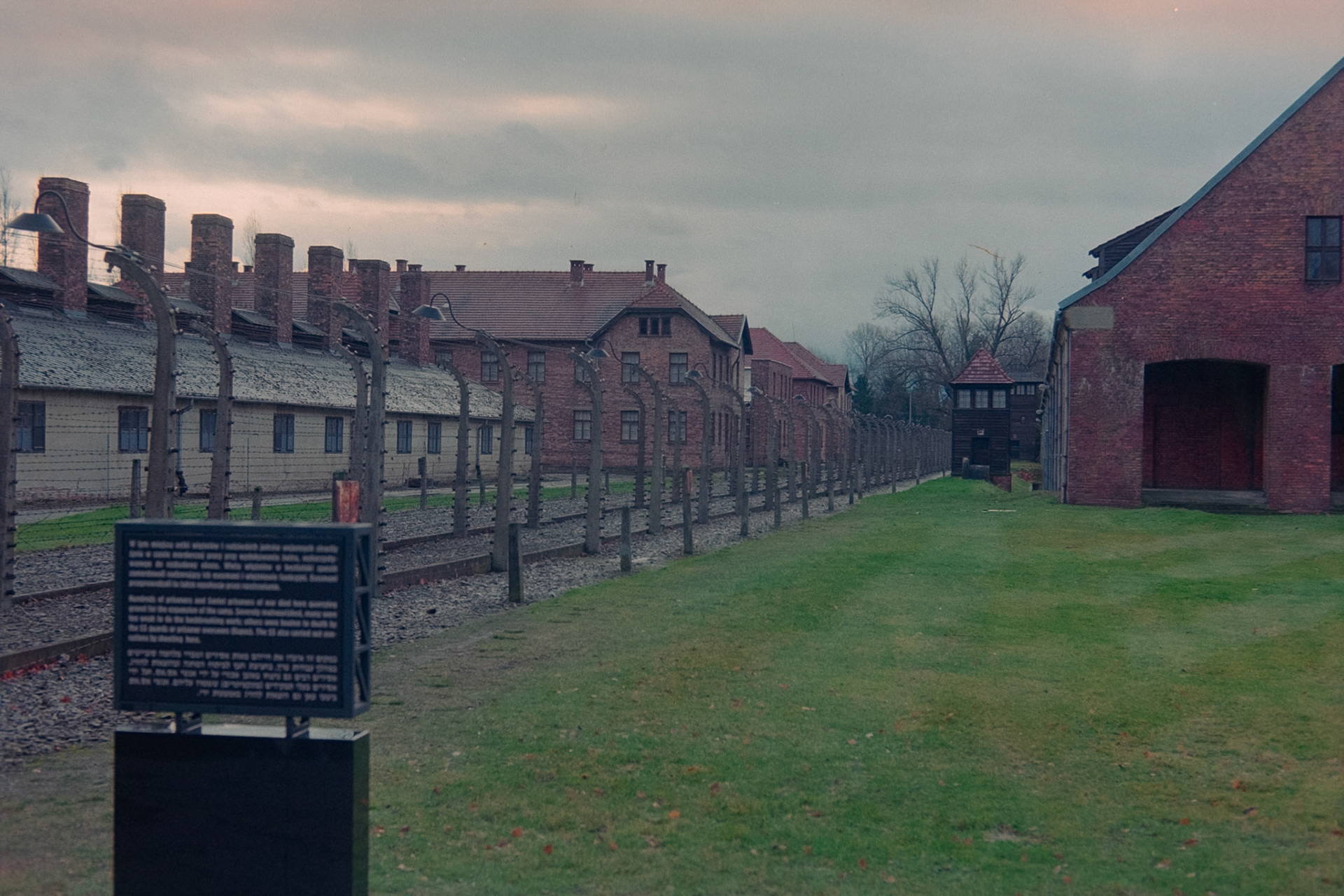 Nikon F5 | Nikkor AF-I 50mm F1.4 | Kodak Ultramax 400 400 @ 800, +1 devLab developed in