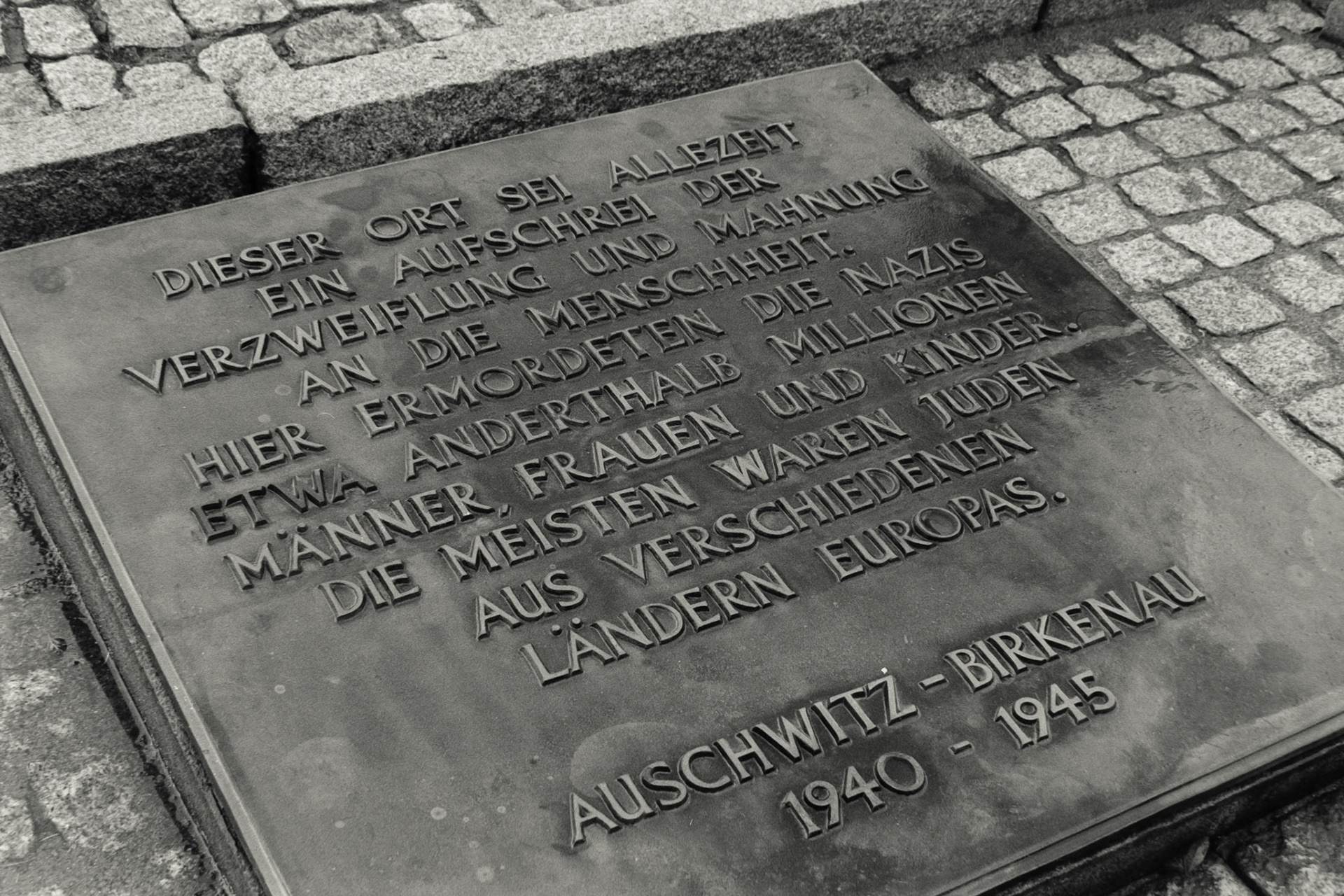 Nikon F5 | Nikkor AF-I 50mm F1.4 | Ilford Delta 400 400 @ 800, +1 devLab developed in
