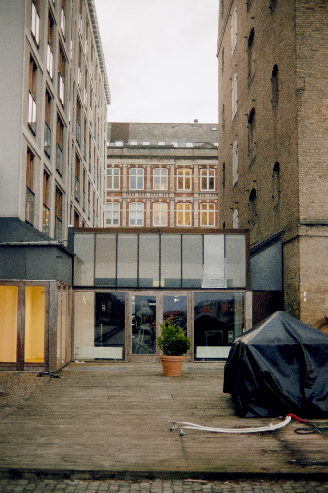 Nikon F5 | Kodak Vision3 250D 250