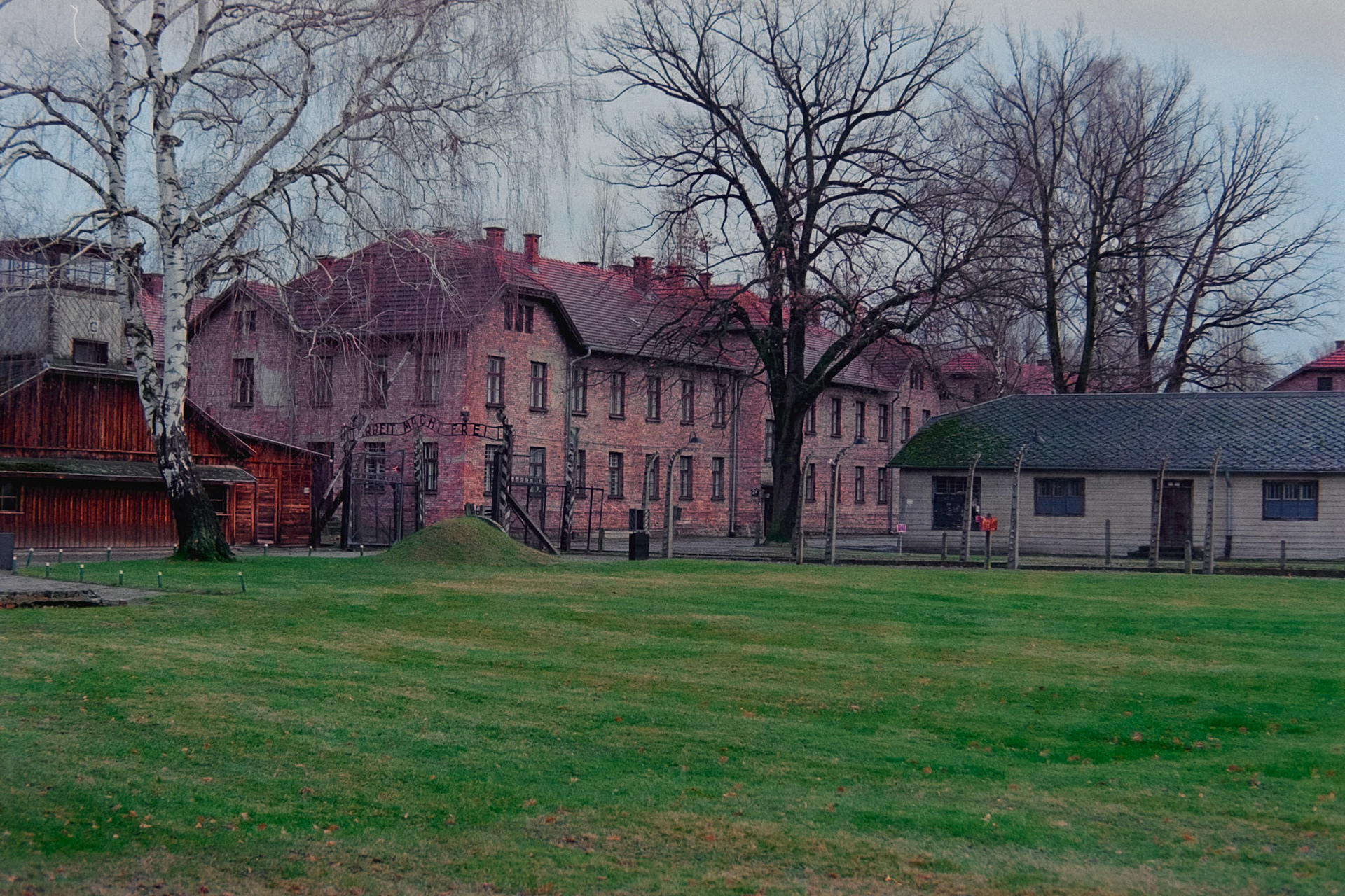 Nikon F5 | Nikkor AF-I 50mm F1.4 | Kodak Ultramax 400 400 @ 800, +1 devLab developed in