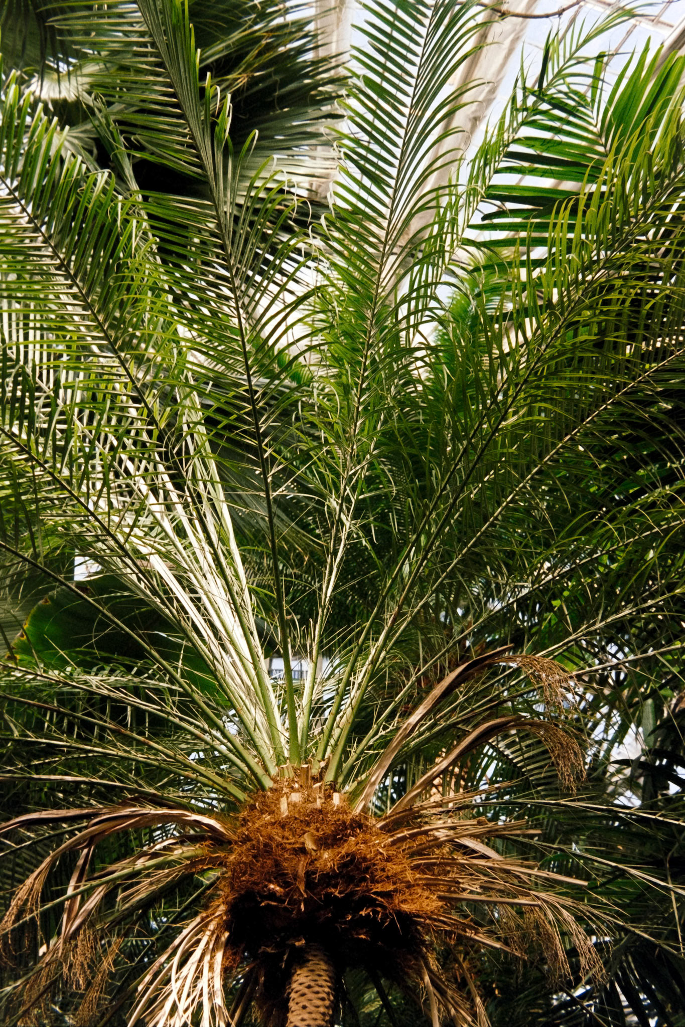 Nikon F5 | Kodak Vision3 250D 250