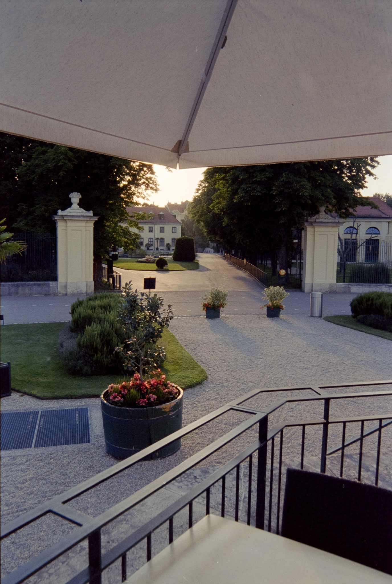 Nikon F5 | KODAK VISION3 500T Color Negative Film 5219/7219 500Lab developed in