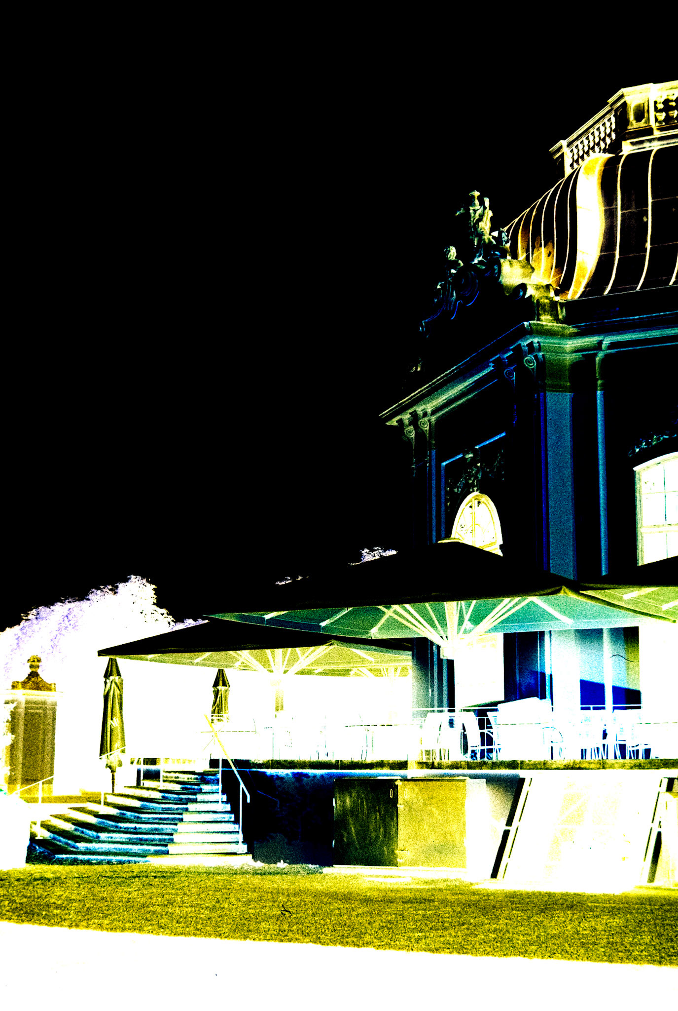 Nikon F5 | KODAK VISION3 500T Color Negative Film 5219/7219 500Lab developed in