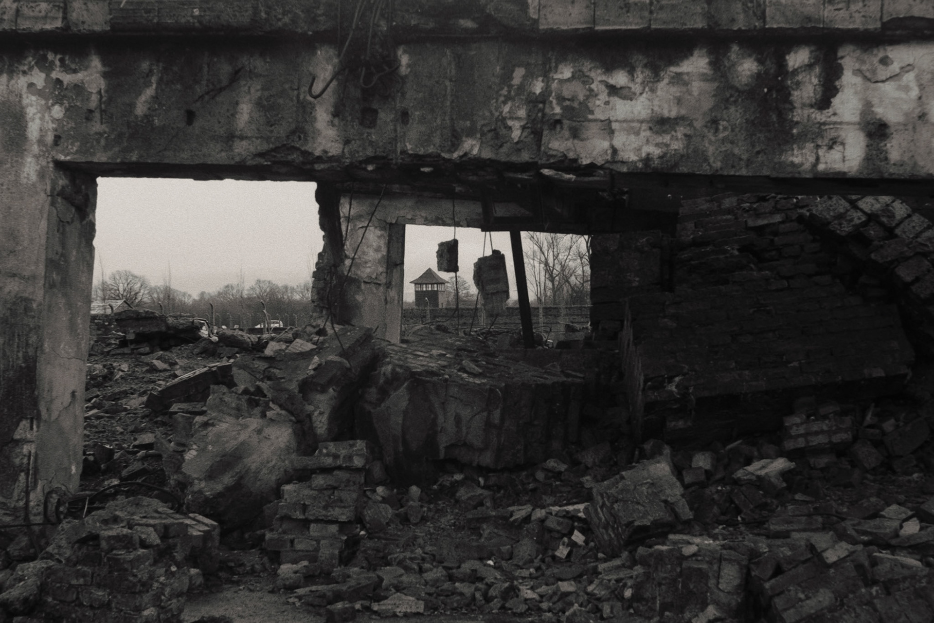 Nikon F5 | Nikkor AF-I 50mm F1.4 | Ilford Delta 400 400 @ 800, +1 devLab developed in