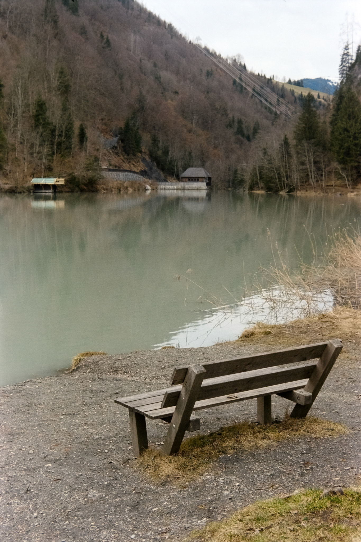 Nikon F5 | Kodak Vision3 250D 250