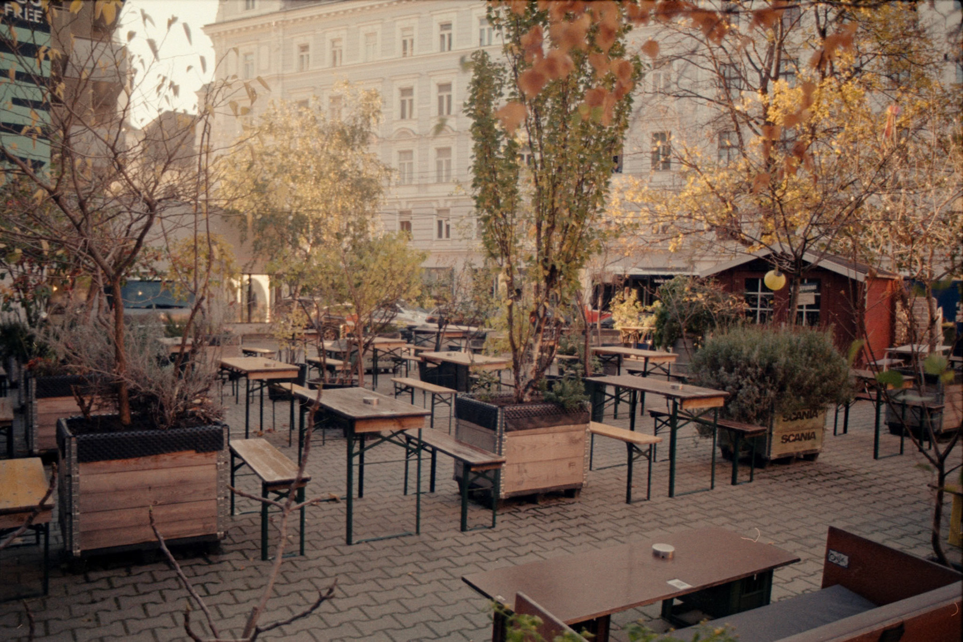 Canon AV-1 | Kodak Pro Image 100  100Scanned with Epson V600Home developed in