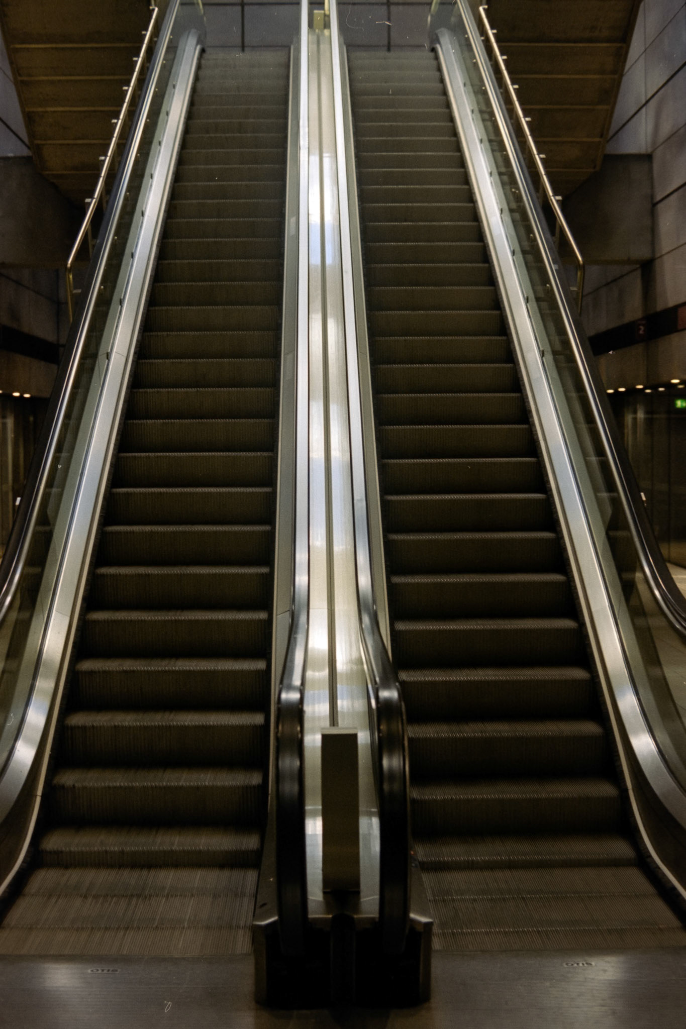 Nikon F5 | Kodak Vision3 250D 250