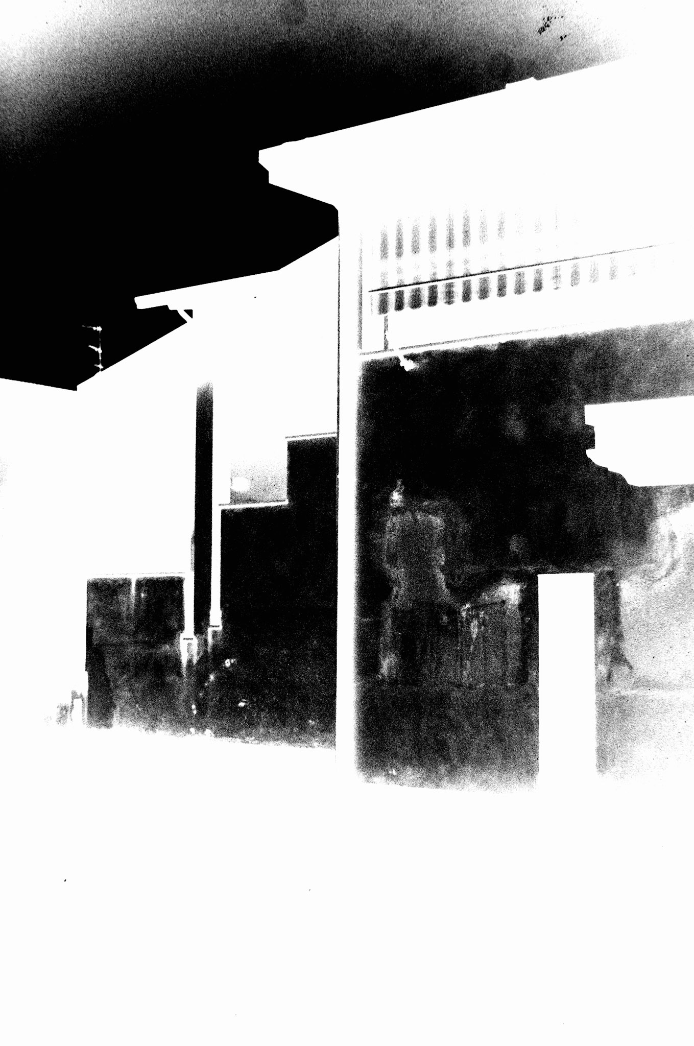 Nikon F5 | Fujifilm Neopan 100 Acros II 100 @ 125Lab developed in