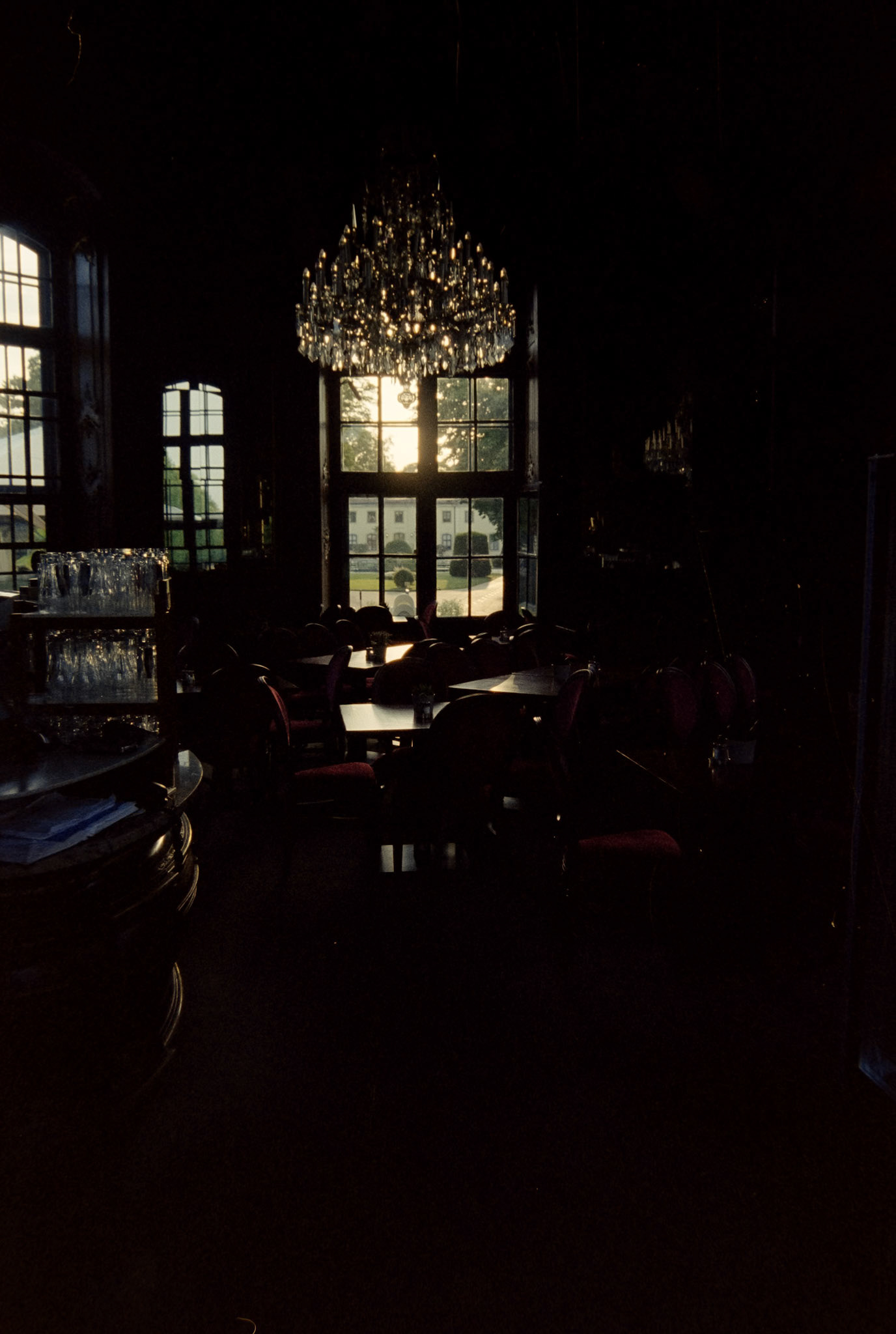 Nikon F5 | KODAK VISION3 500T Color Negative Film 5219/7219 500Lab developed in