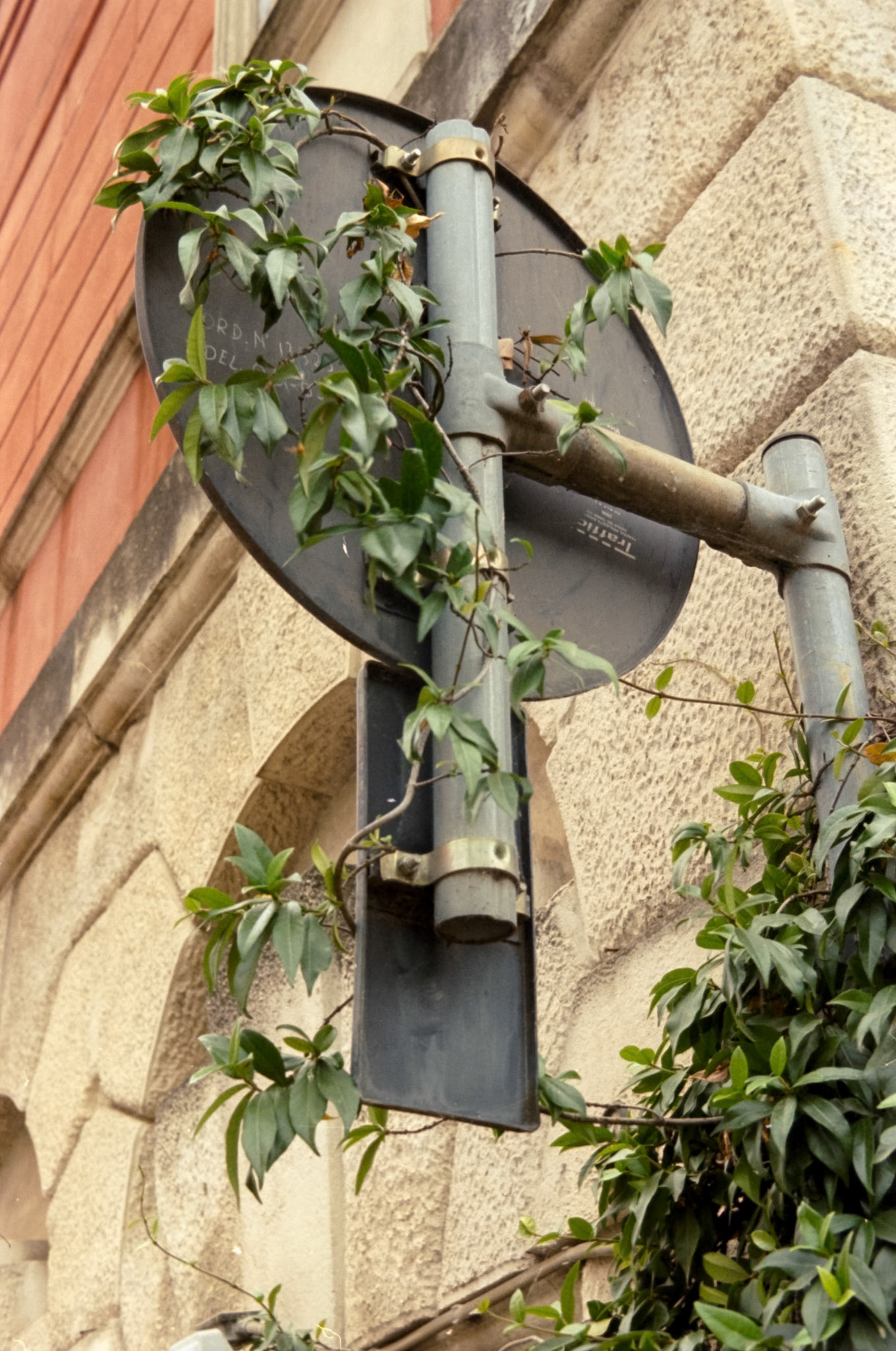 Nikon F5 | KODAK VISION3 250D Color Negative Film 5207/7207 250Lab developed in