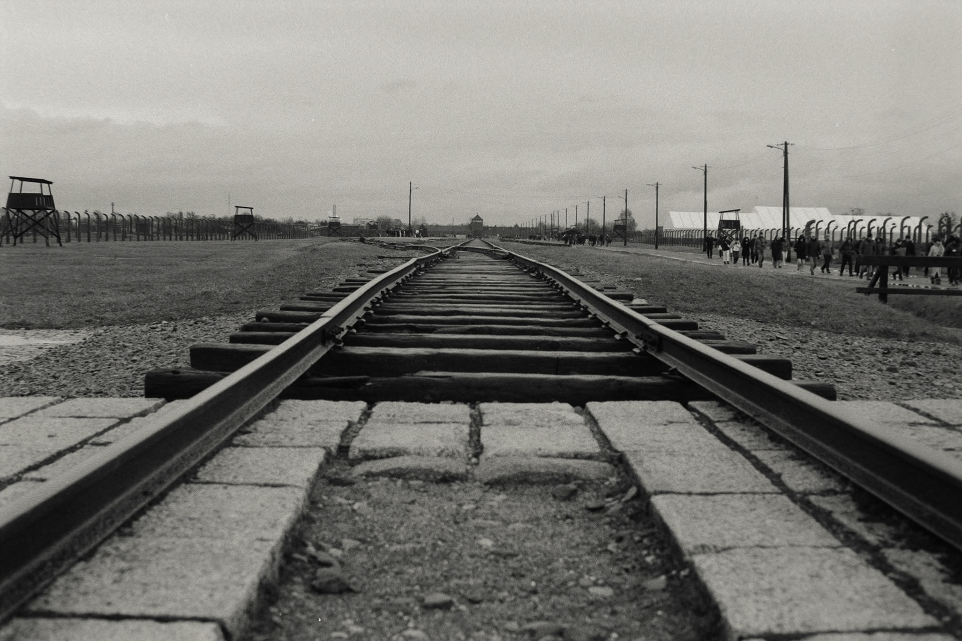 Nikon F5 | Nikkor AF-I 50mm F1.4 | Ilford Delta 400 400 @ 800, +1 devLab developed in