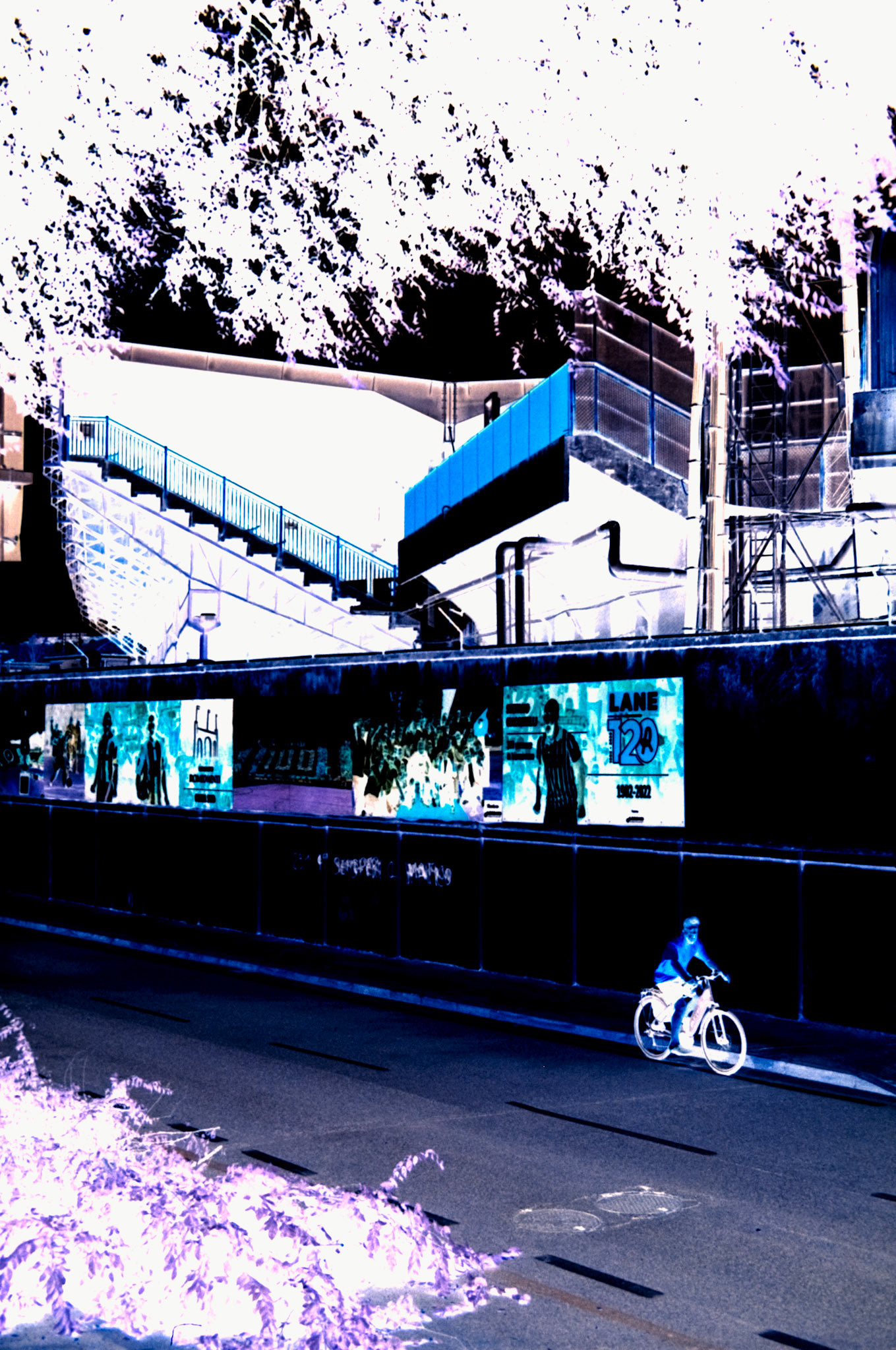 Nikon F5 | KODAK VISION3 250D Color Negative Film 5207/7207 250Lab developed in