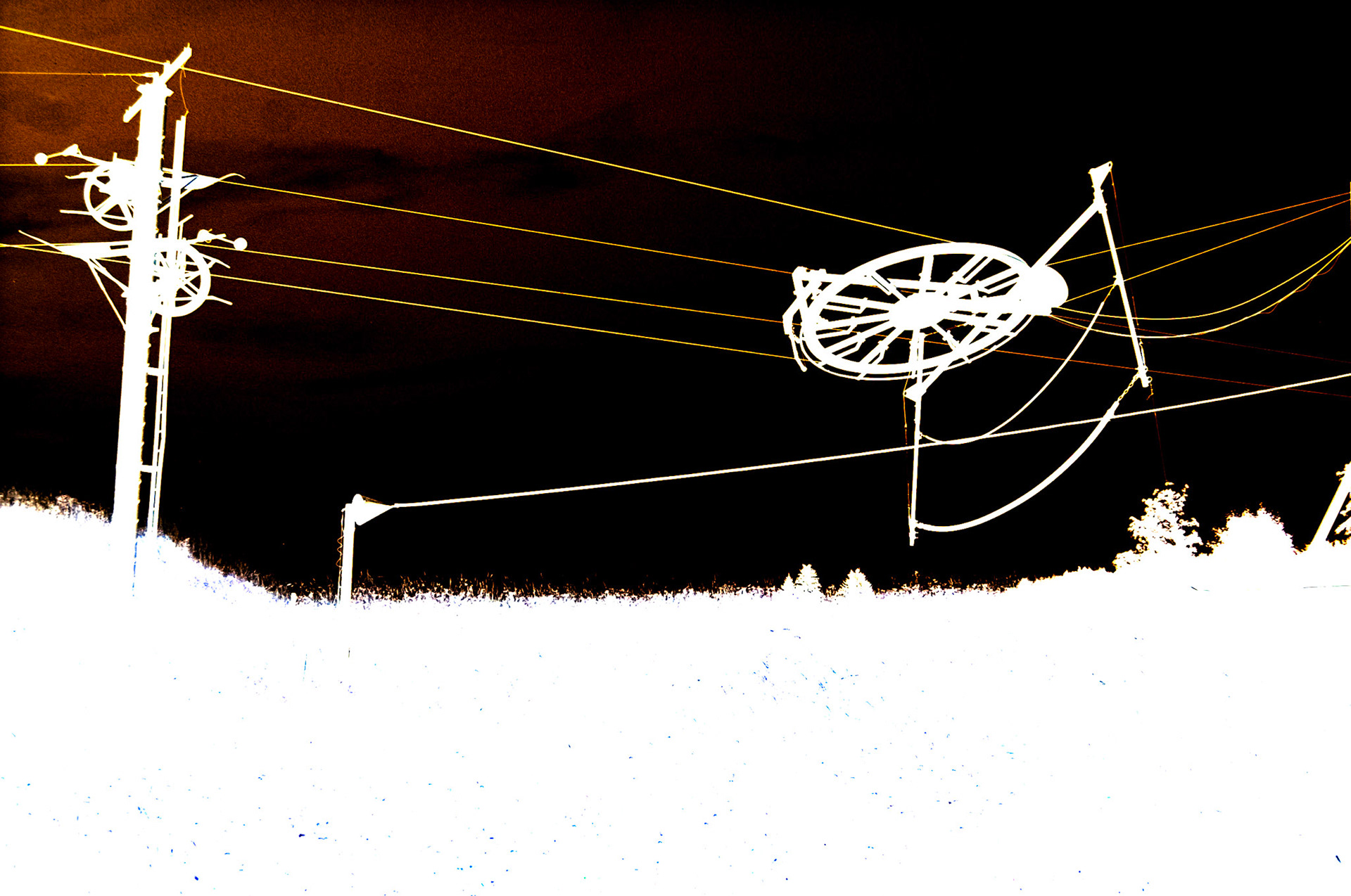 Nikon F5 | KODAK VISION3 50D Color Negative Film 5203/7203 50Lab developed in