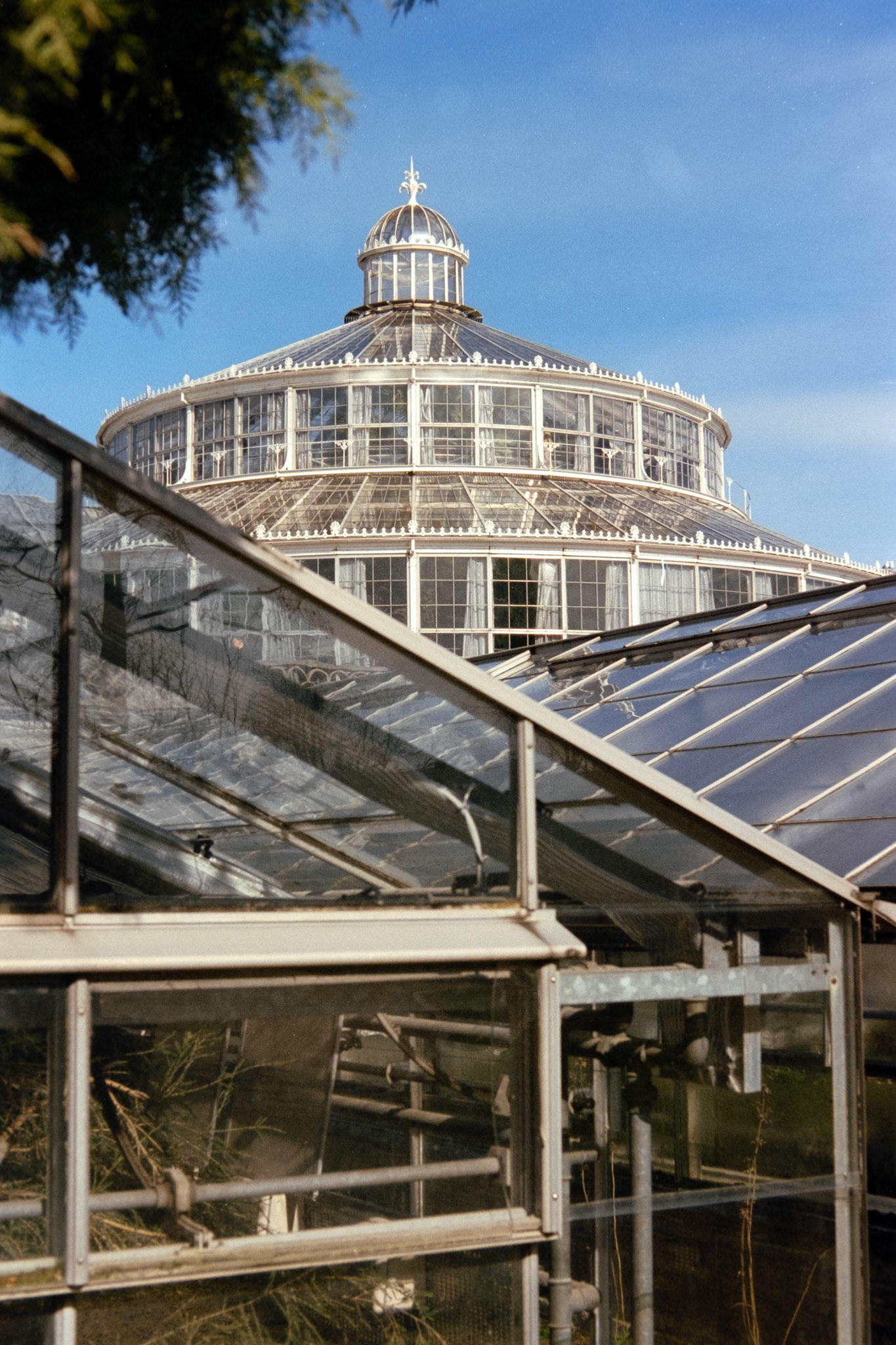 Nikon F5 | Kodak Vision3 250D 250