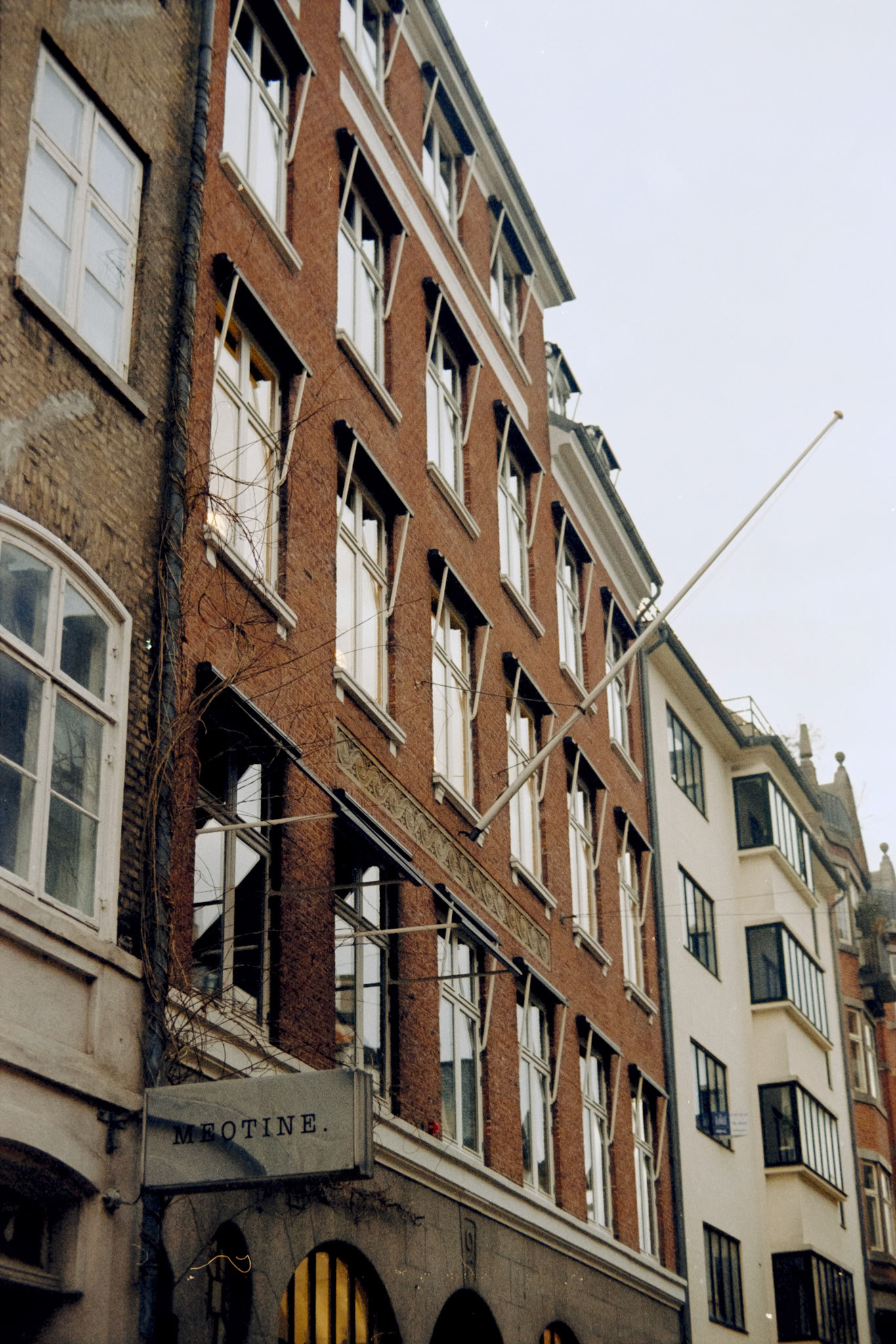 Nikon F5 | Kodak Vision3 250D 250