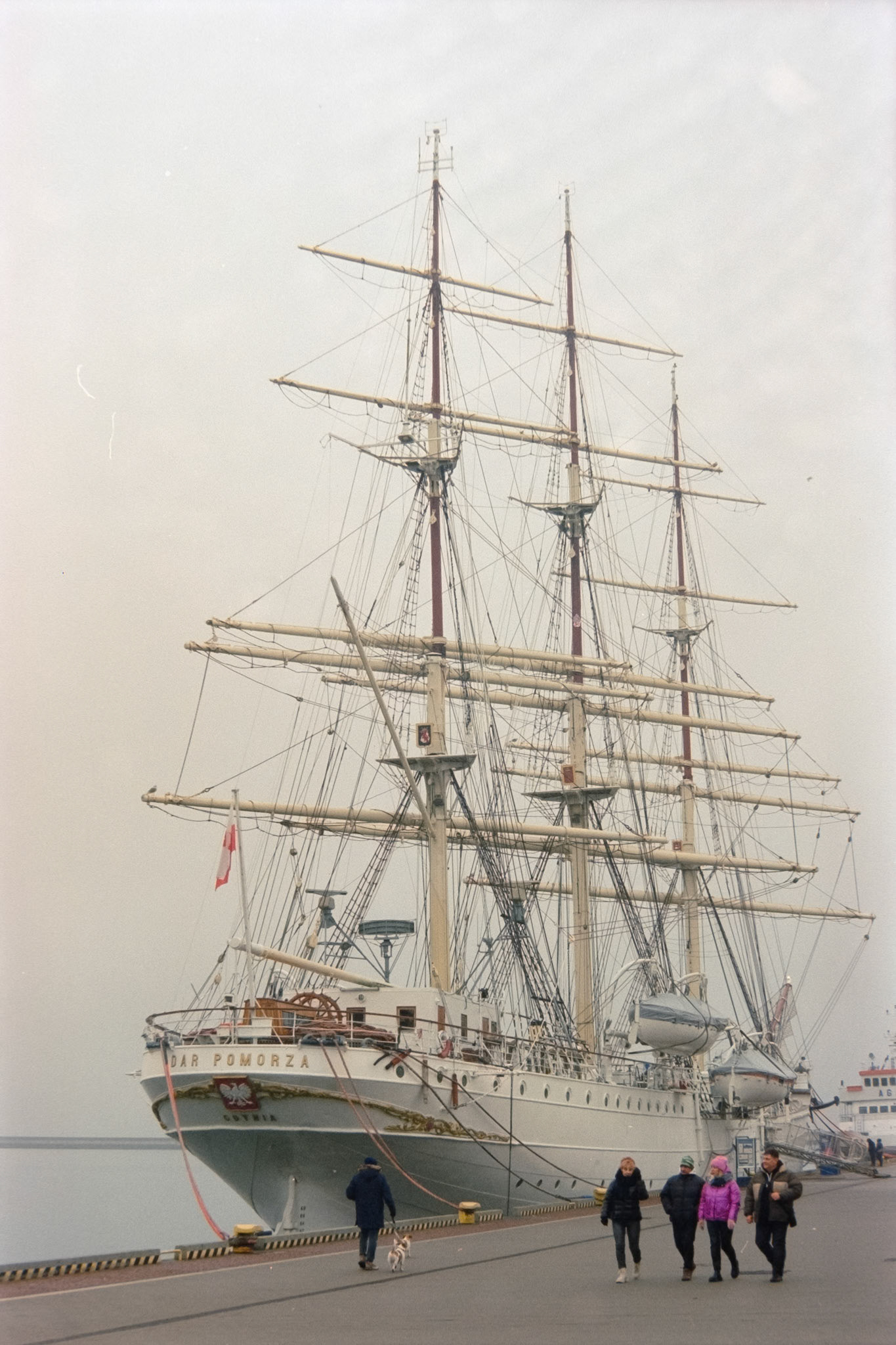 Nikon F5 | Nikkor AF-I 50mm F1.4 | Kodak Vision3 250D 250Lab developed in