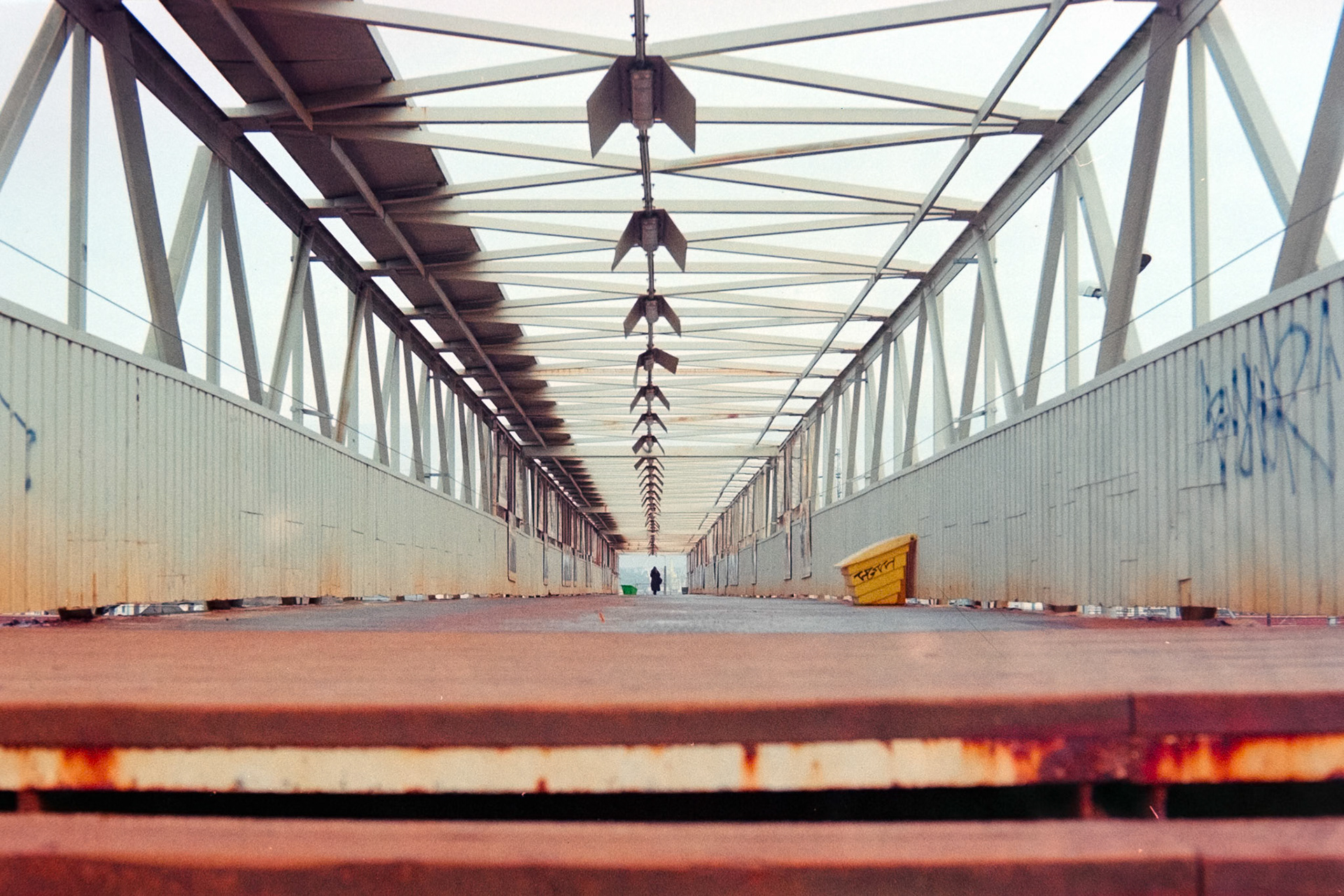 Nikon F5 | Nikkor AF-I 50mm F1.4 | Kodak Pro Image 100 100Lab developed in