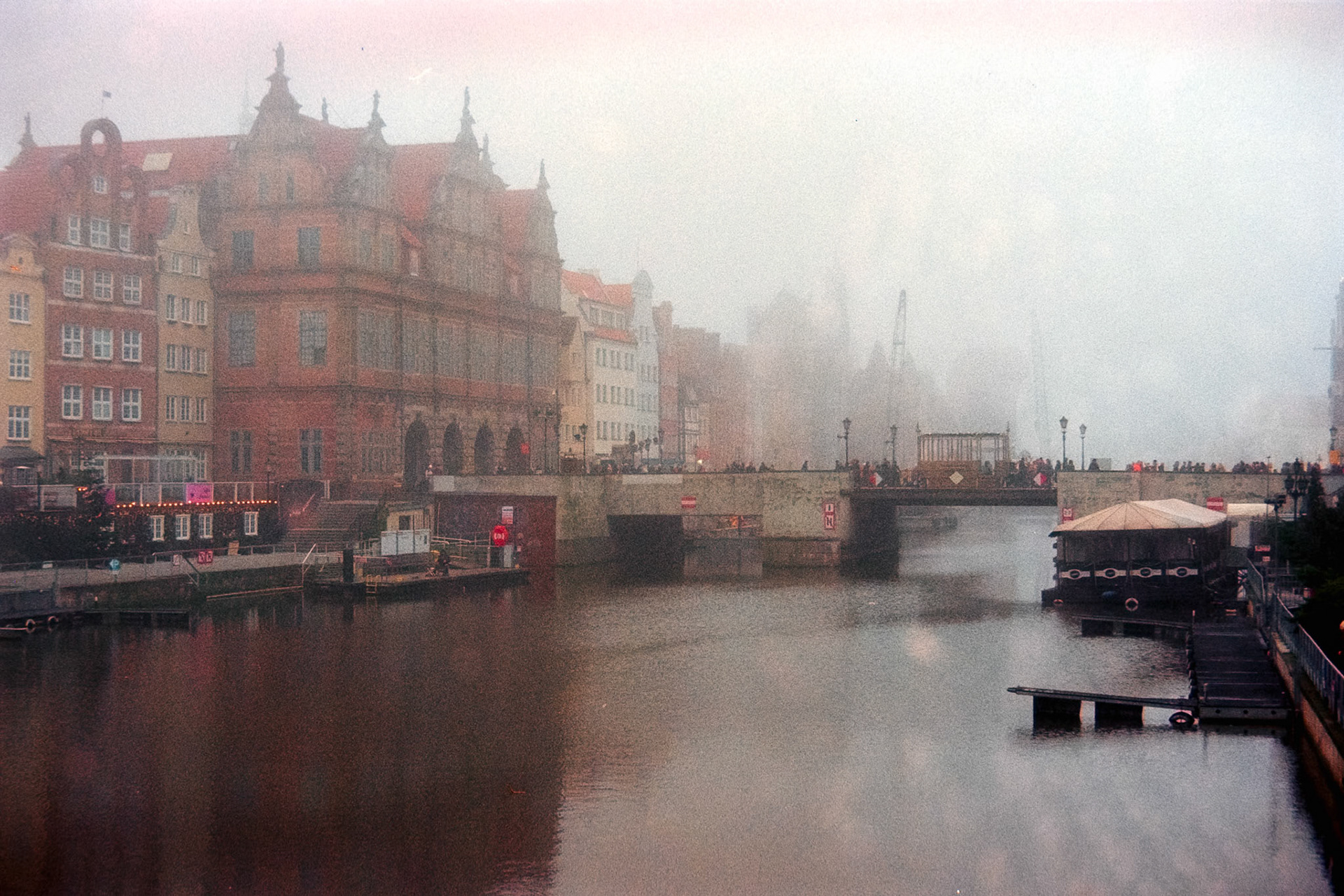 Nikon F5 | Nikkor AF-I 50mm F1.4 | Kodak Pro Image 100 100Lab developed in