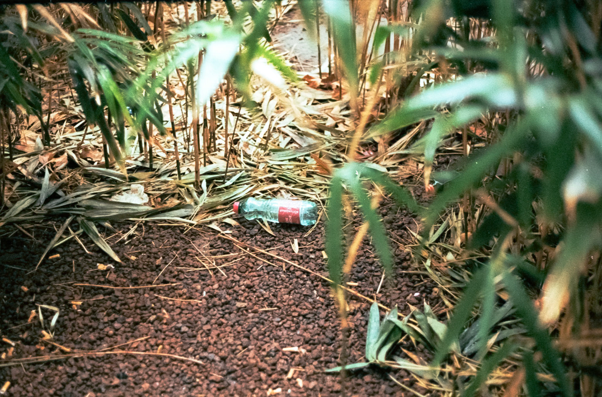 Canon AV-1 | Kodak Gold 200 200Scanned with Epson V600