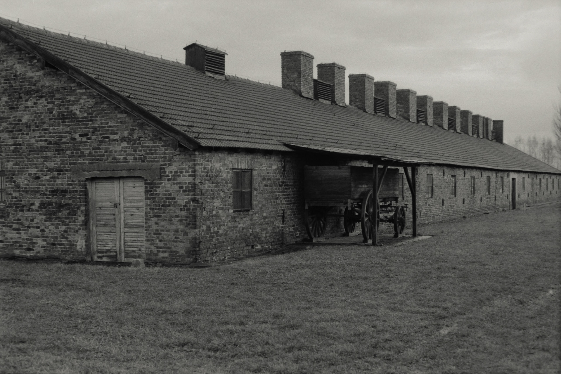 Nikon F5 | Nikkor AF-I 50mm F1.4 | Ilford Delta 400 400 @ 800, +1 devLab developed in