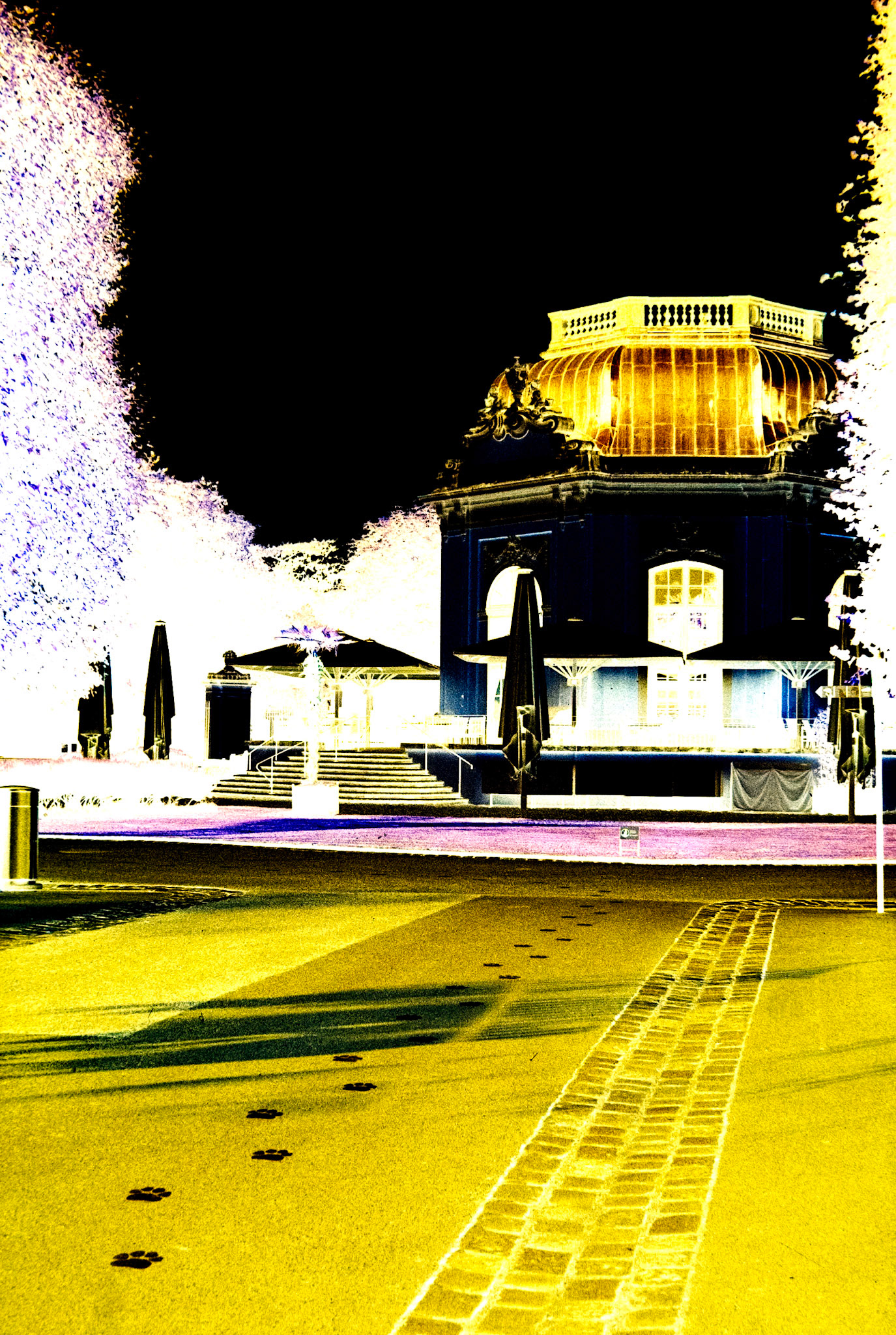 Nikon F5 | KODAK VISION3 500T Color Negative Film 5219/7219 500Lab developed in