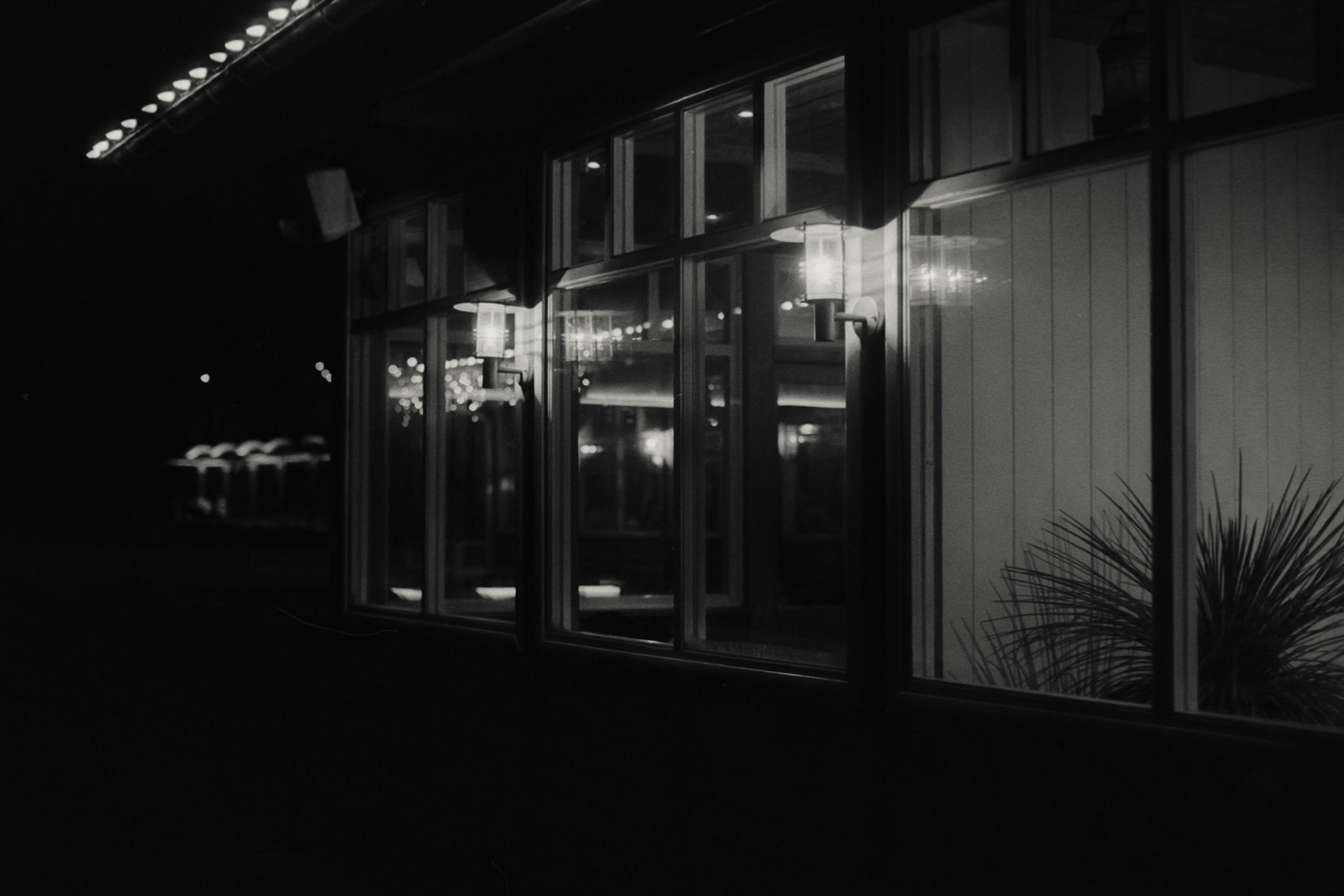 Nikon F5 | Nikkor AF-I 50mm F1.4 | Kodak 400TX 400 @ 800, +1 devLab developed in