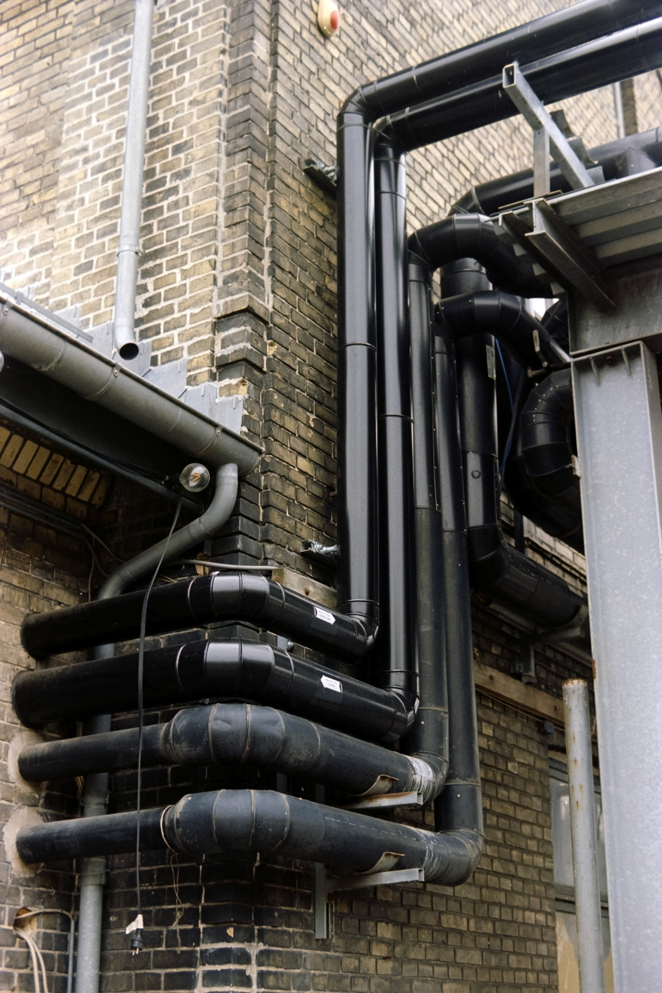 Nikon F5 | Kodak Vision3 250D 250