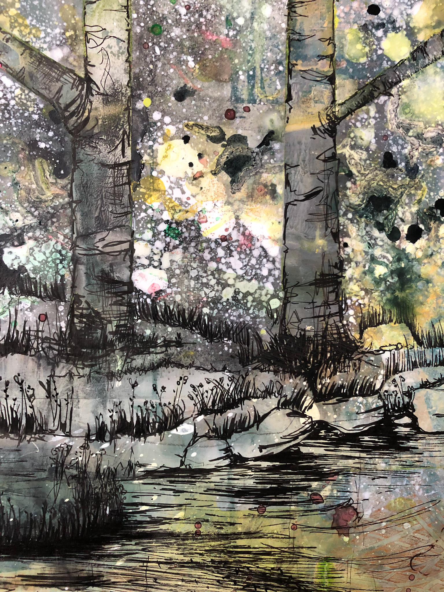 Once Upon A Forest