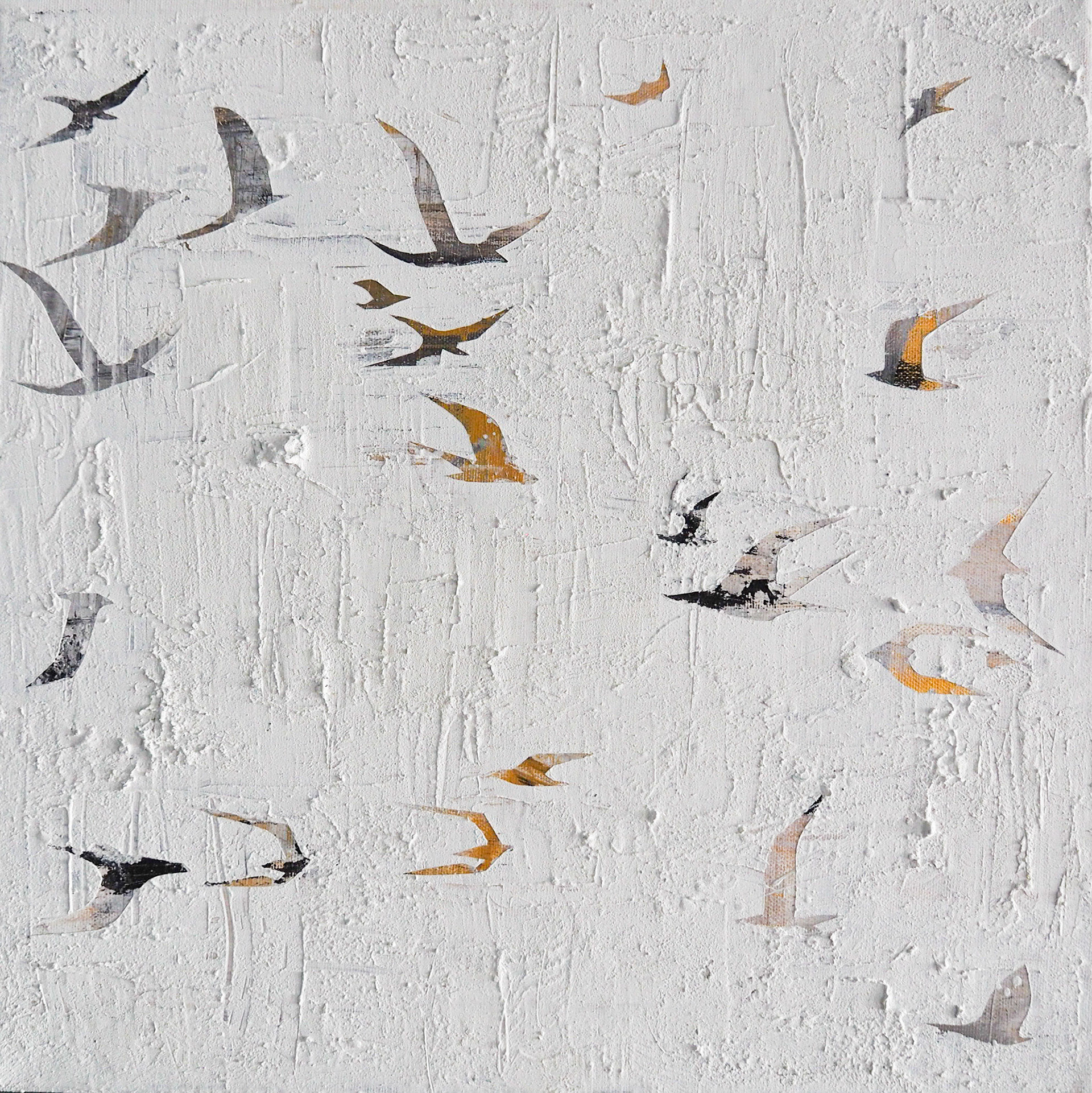 Birds