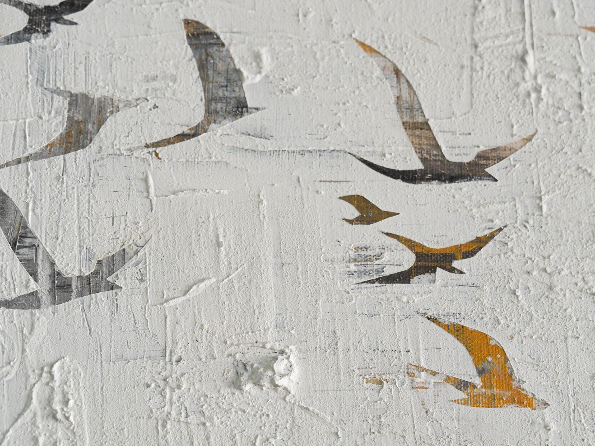 Birds