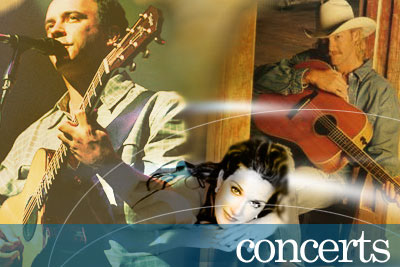 WEBSITE CATEGORY GRAPHIC