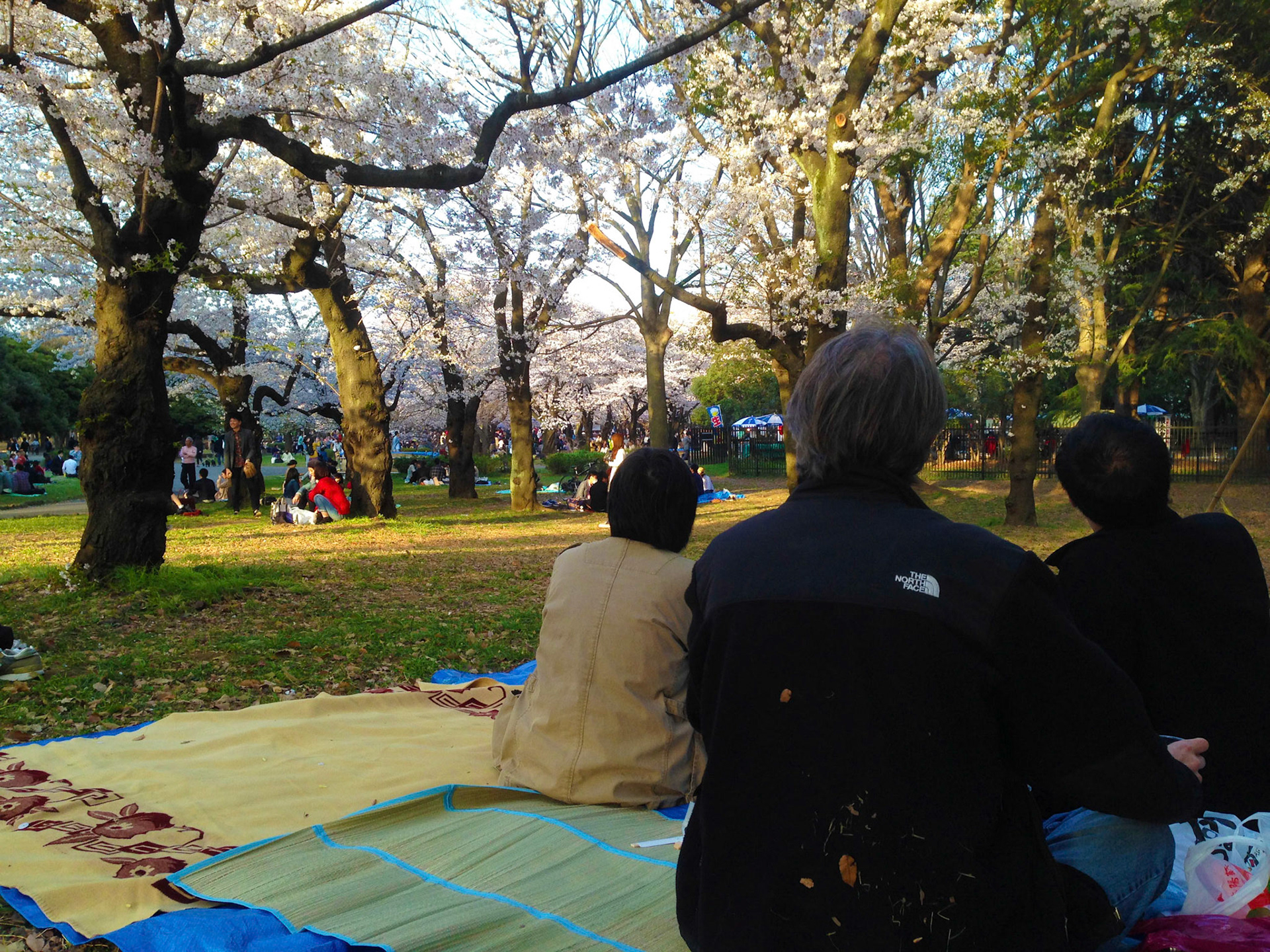 Shibuya with Fujioka Asako & Fukada Koji