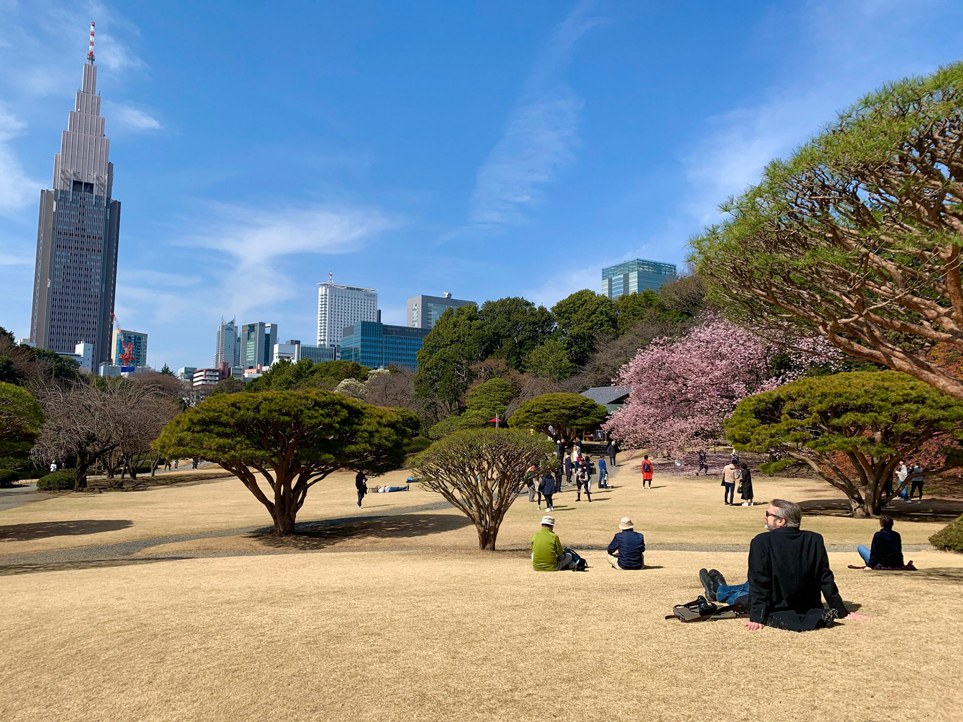 Shinjuku Gyoen