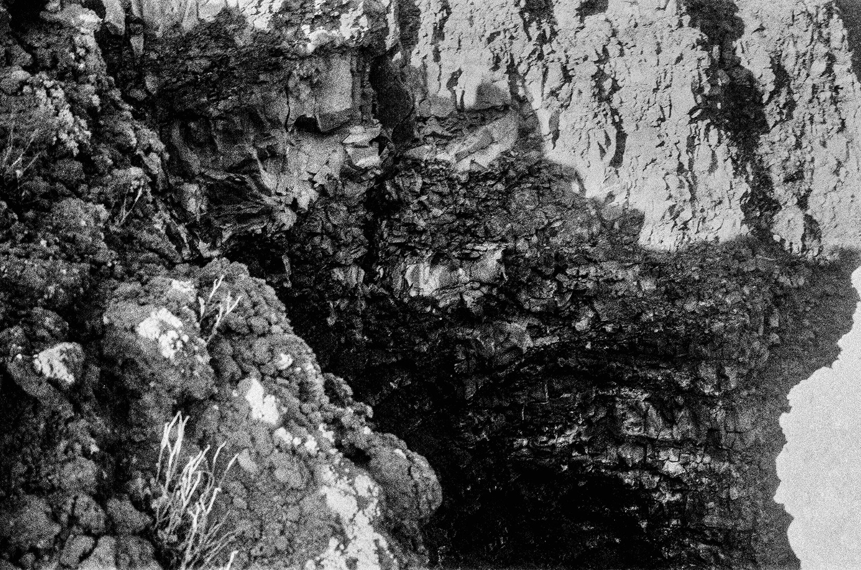 gaia renis stereocaulon vesuvianum fotografia premio terna vincitore
