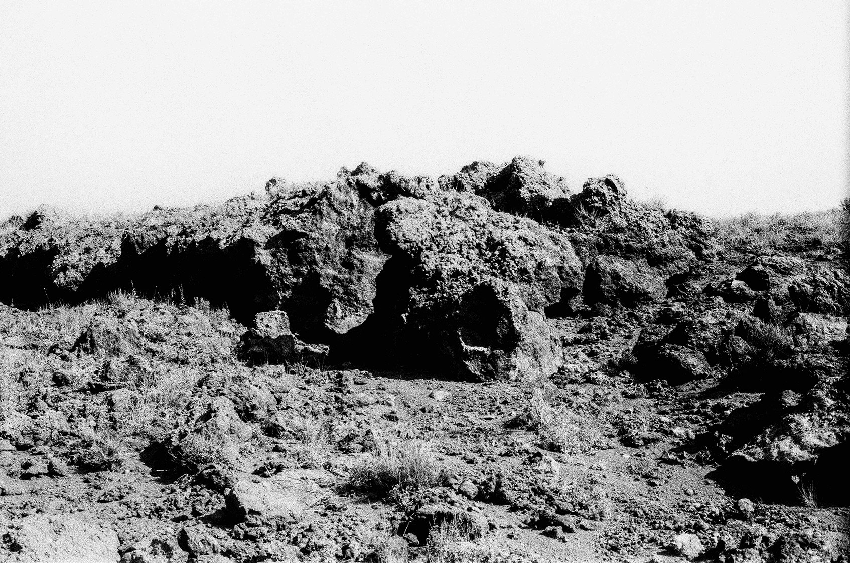 gaia renis foto stereocaulon vesuvianum terna premio vintore