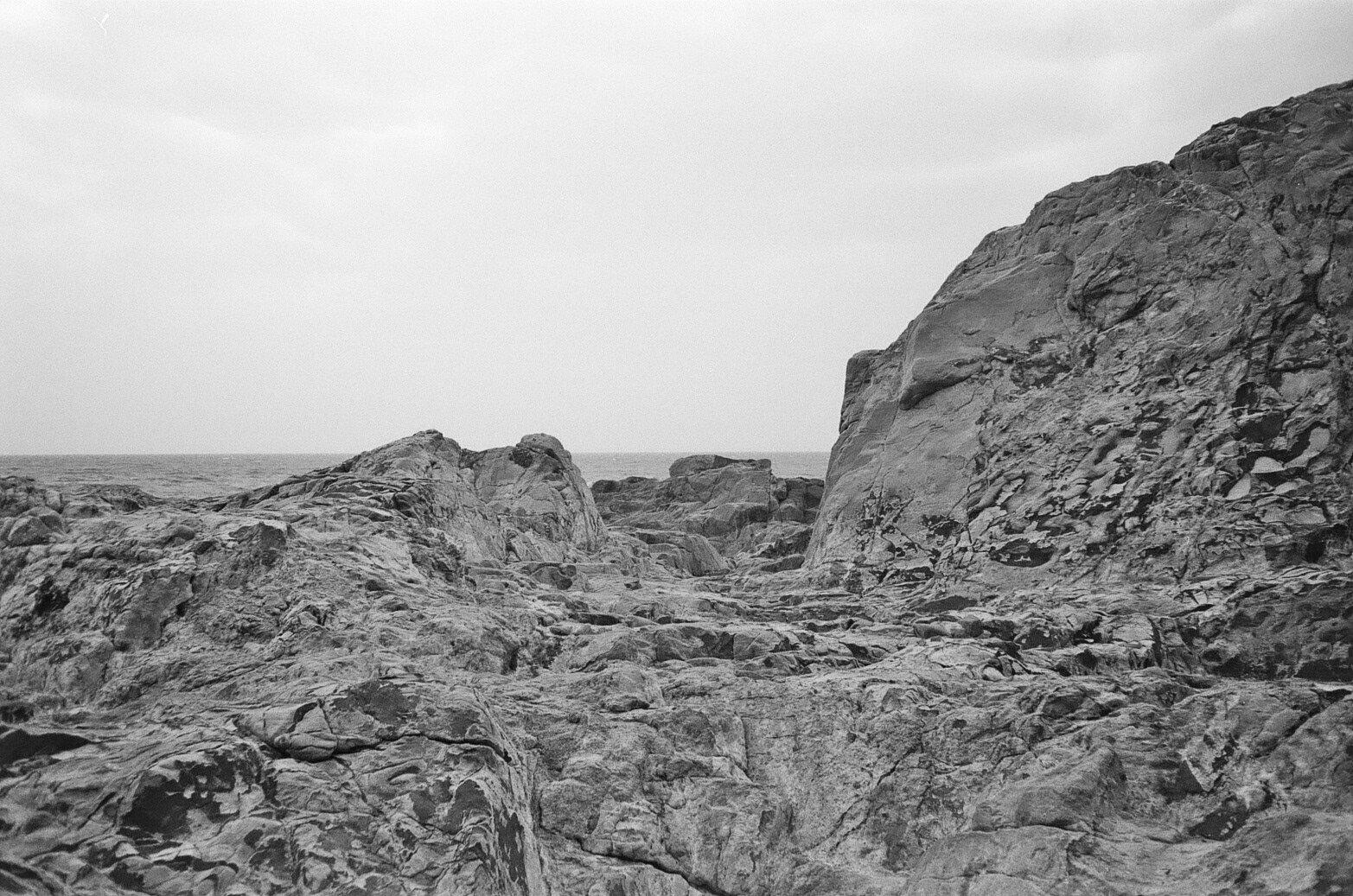 Fotografia Gaia Renis Riserva naturale di Calafuria