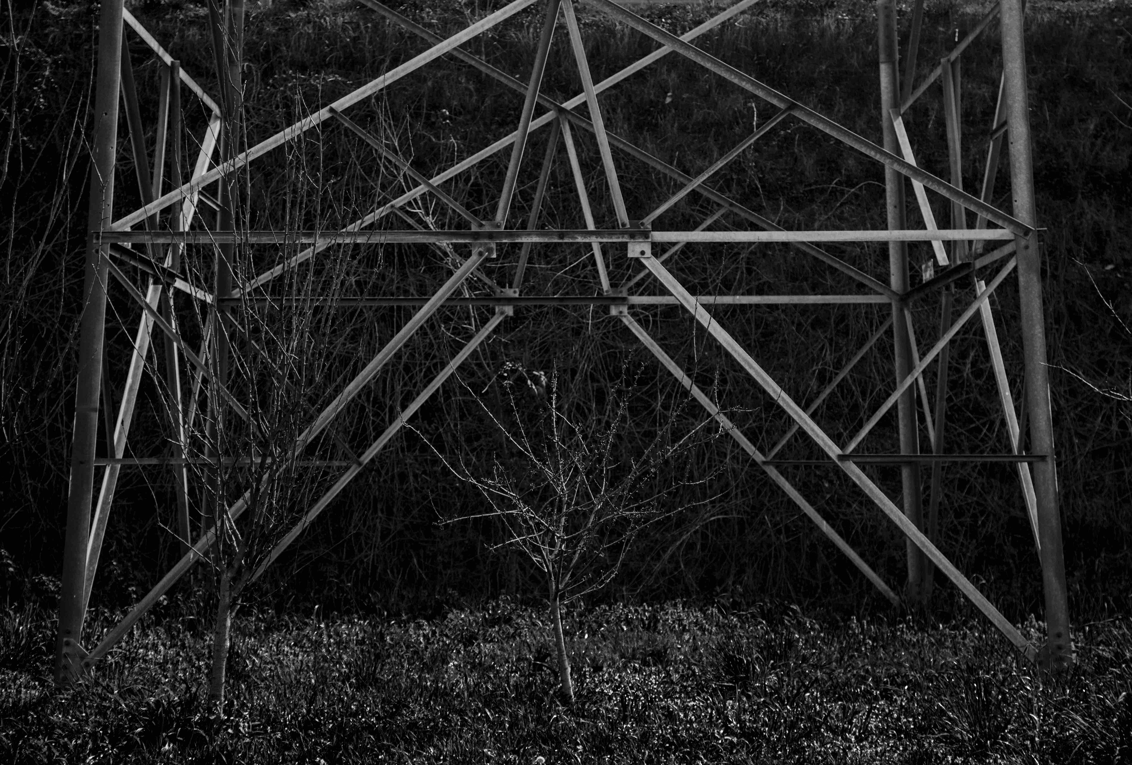 fotografia gaia renis traliccio terna