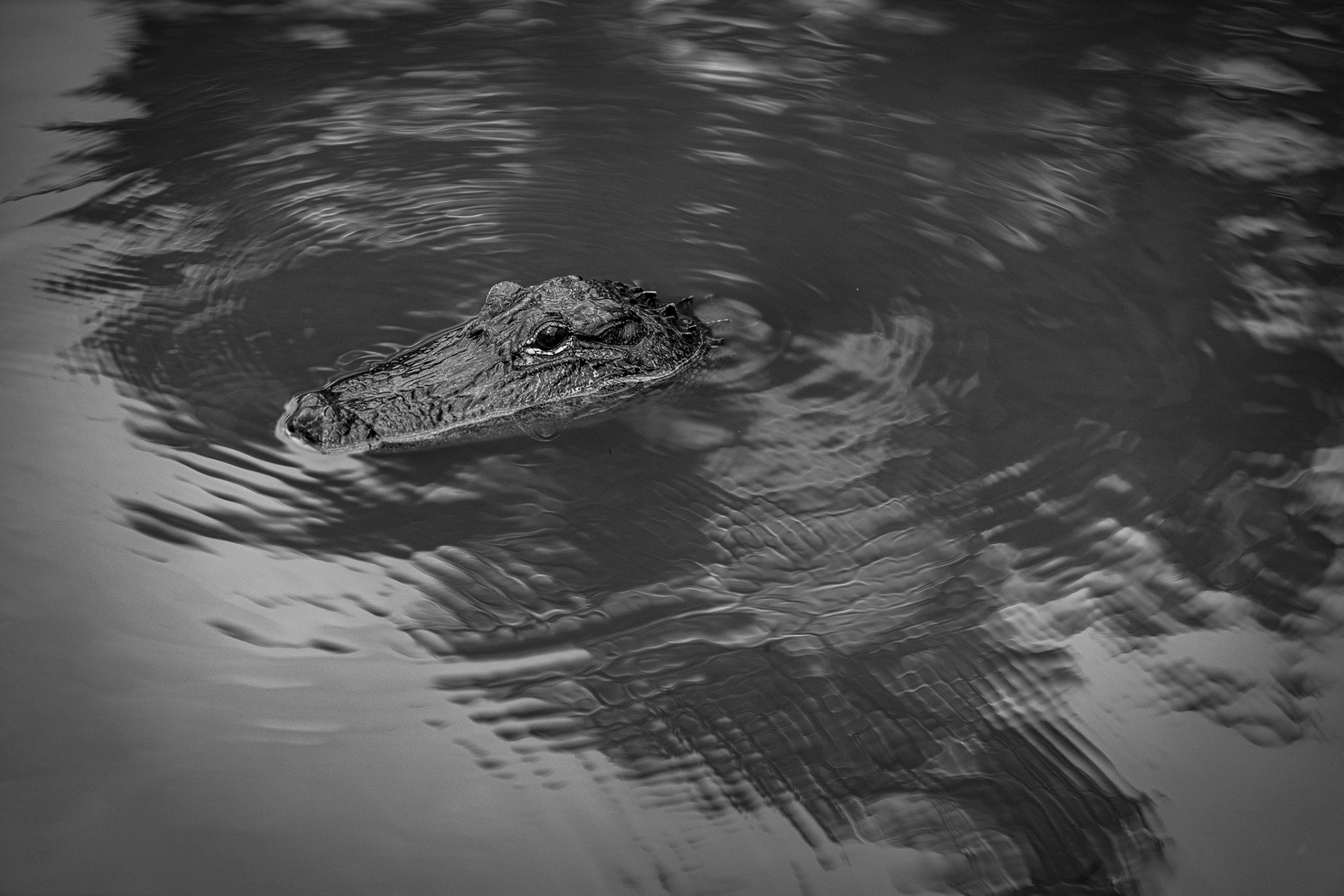 New Orleans, Louisiana