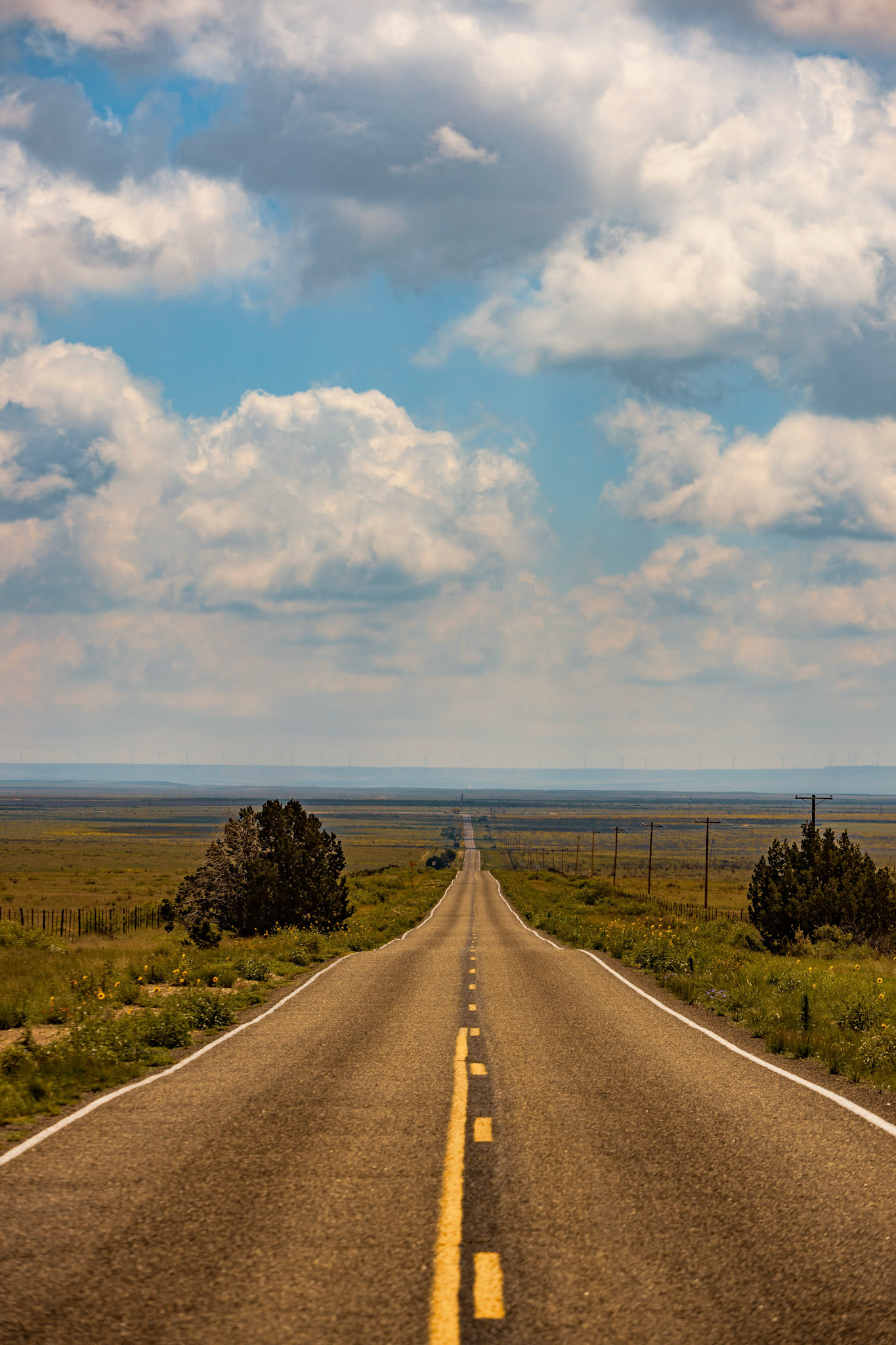 Albuquerque, New Mexico