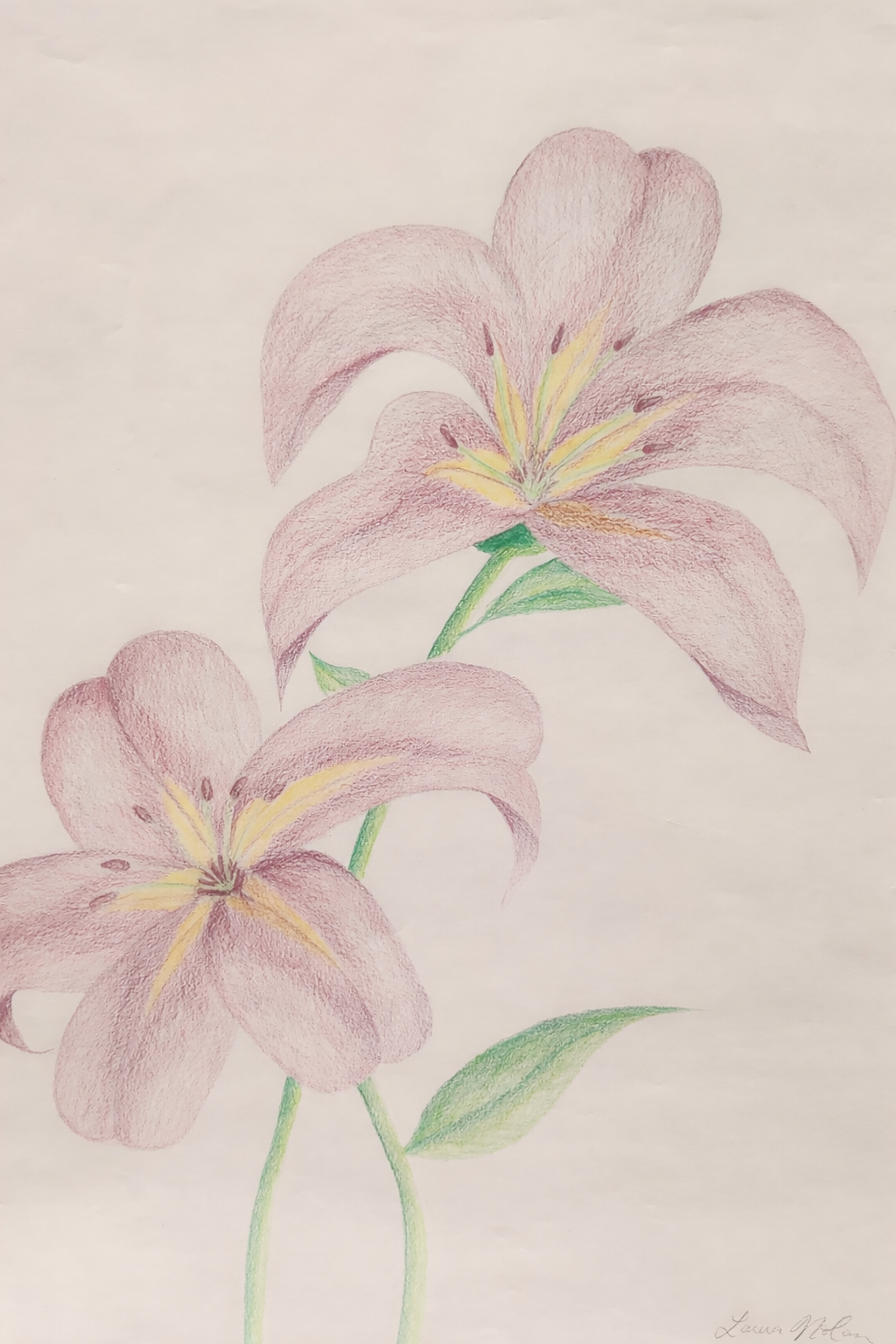 Colored pencil