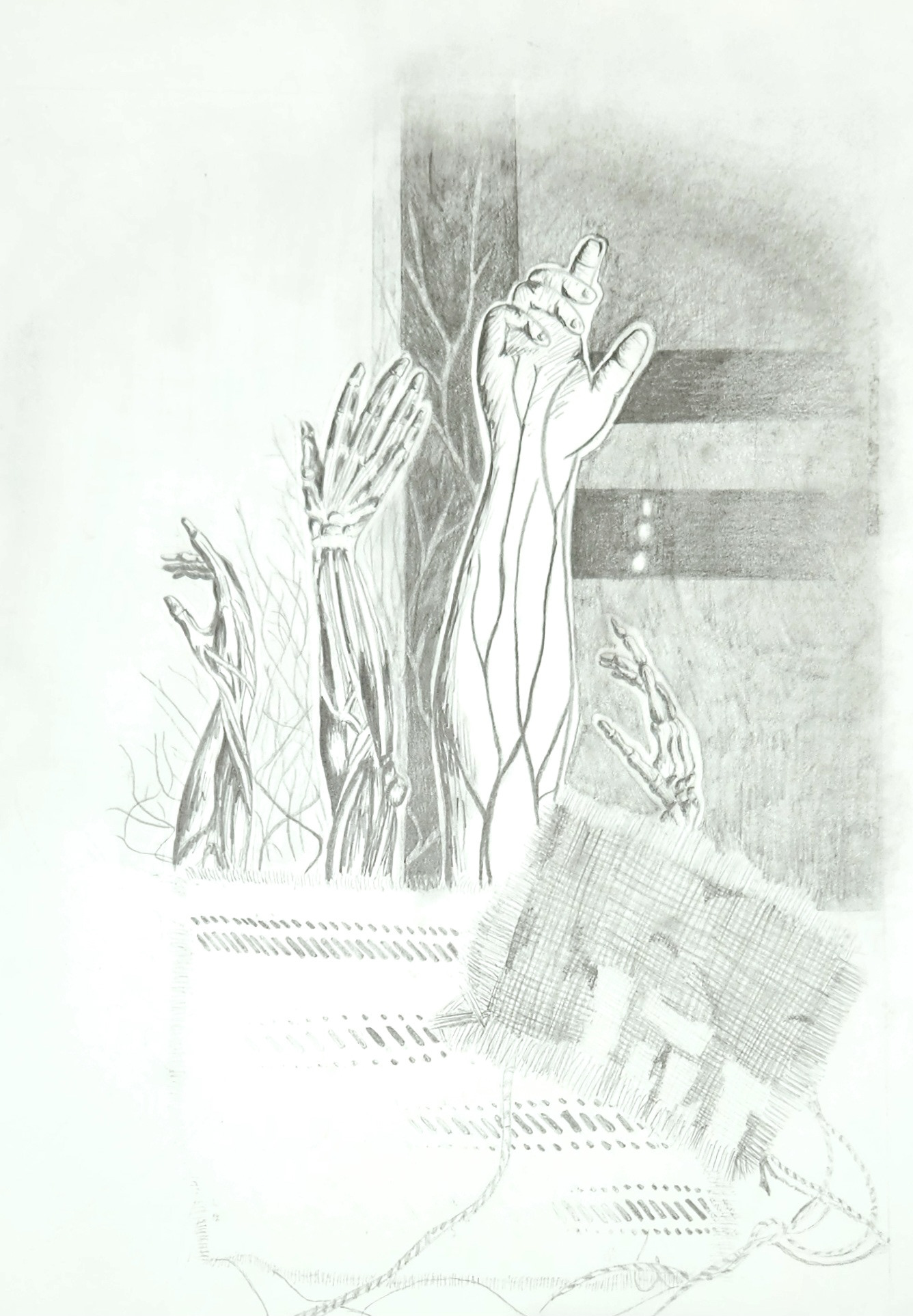 Graphite