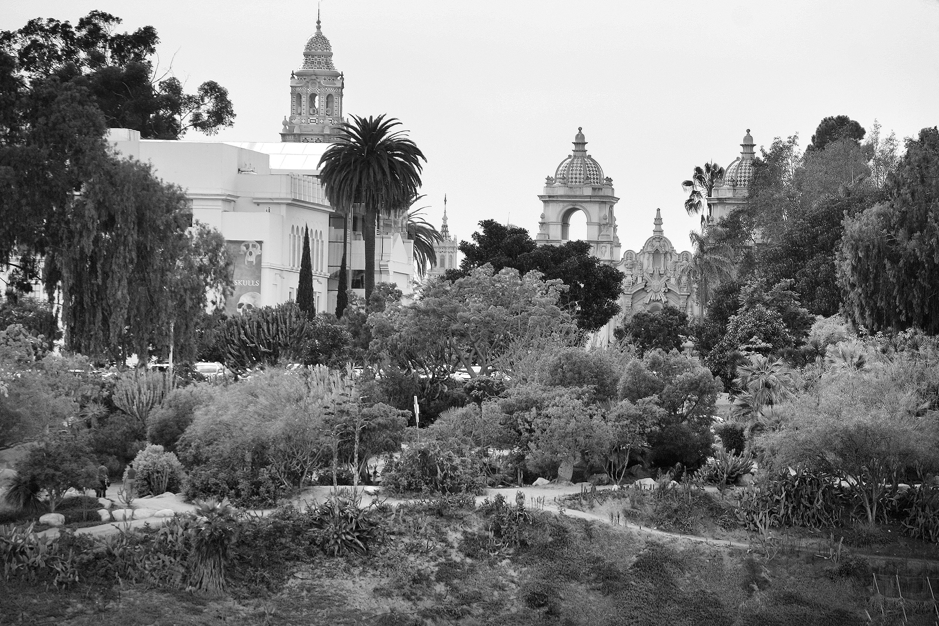 BLACK & WHITE PHOTOGRAPHY -- BALBOA PARK