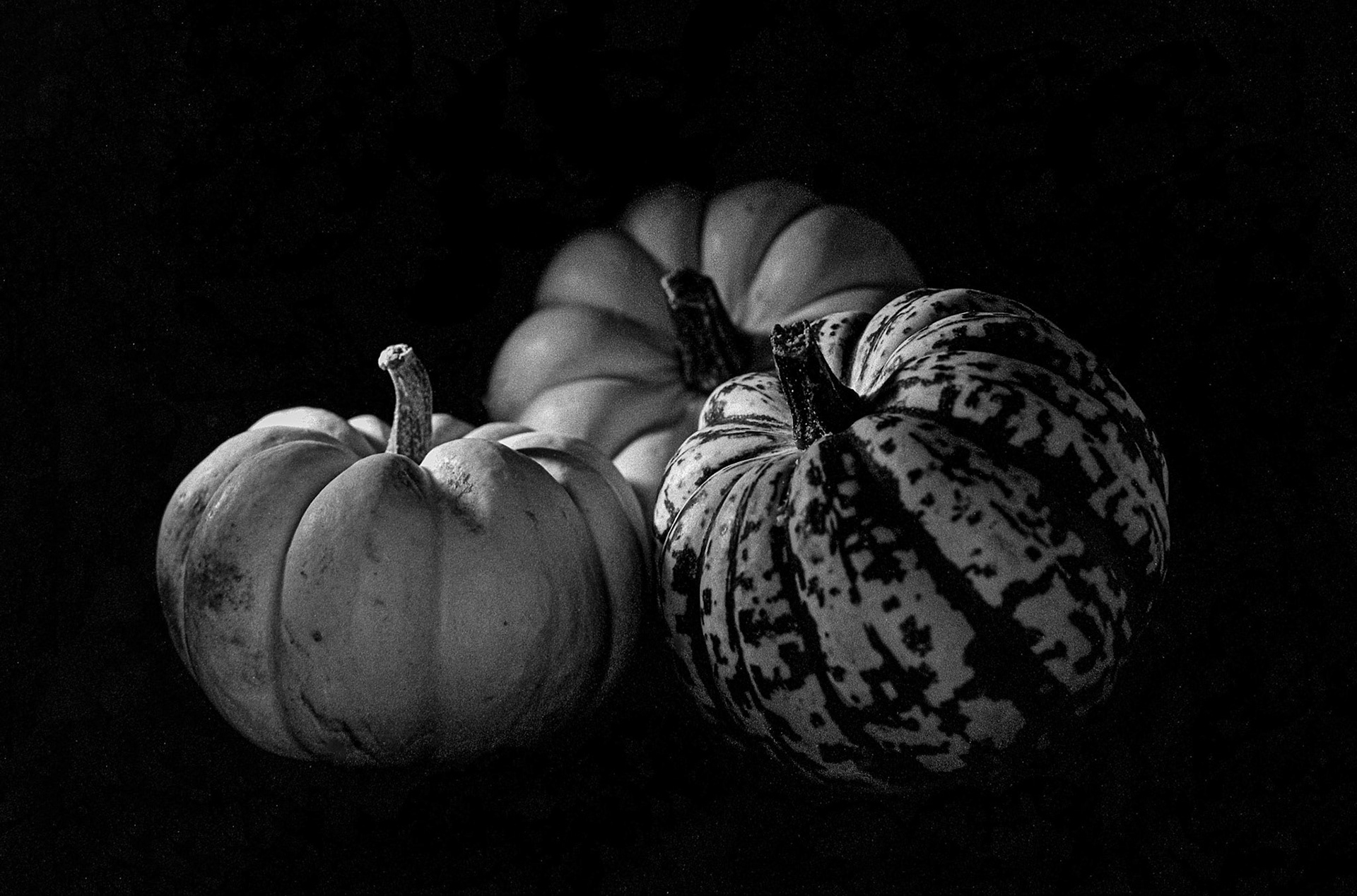 Squashes