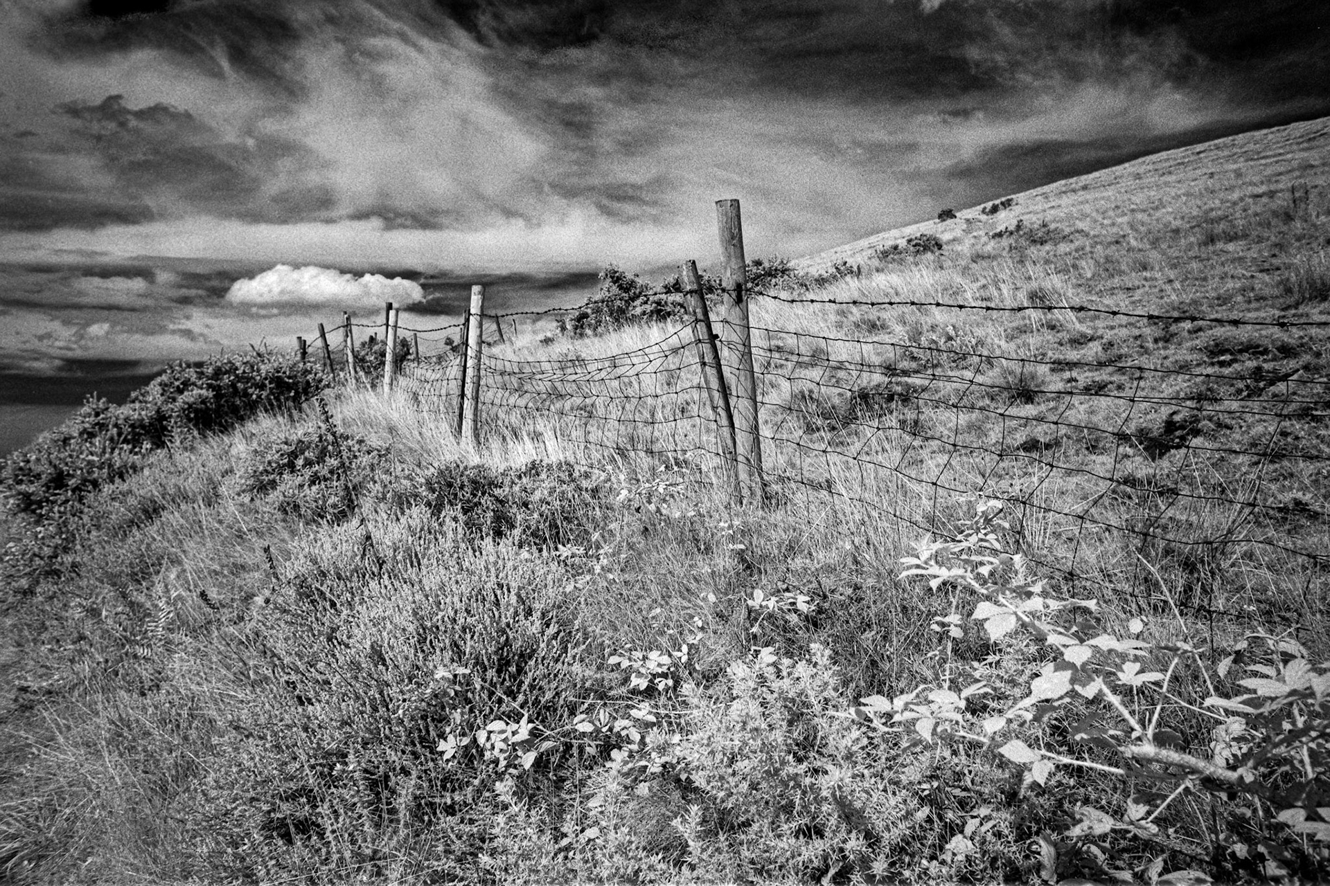 Moorland