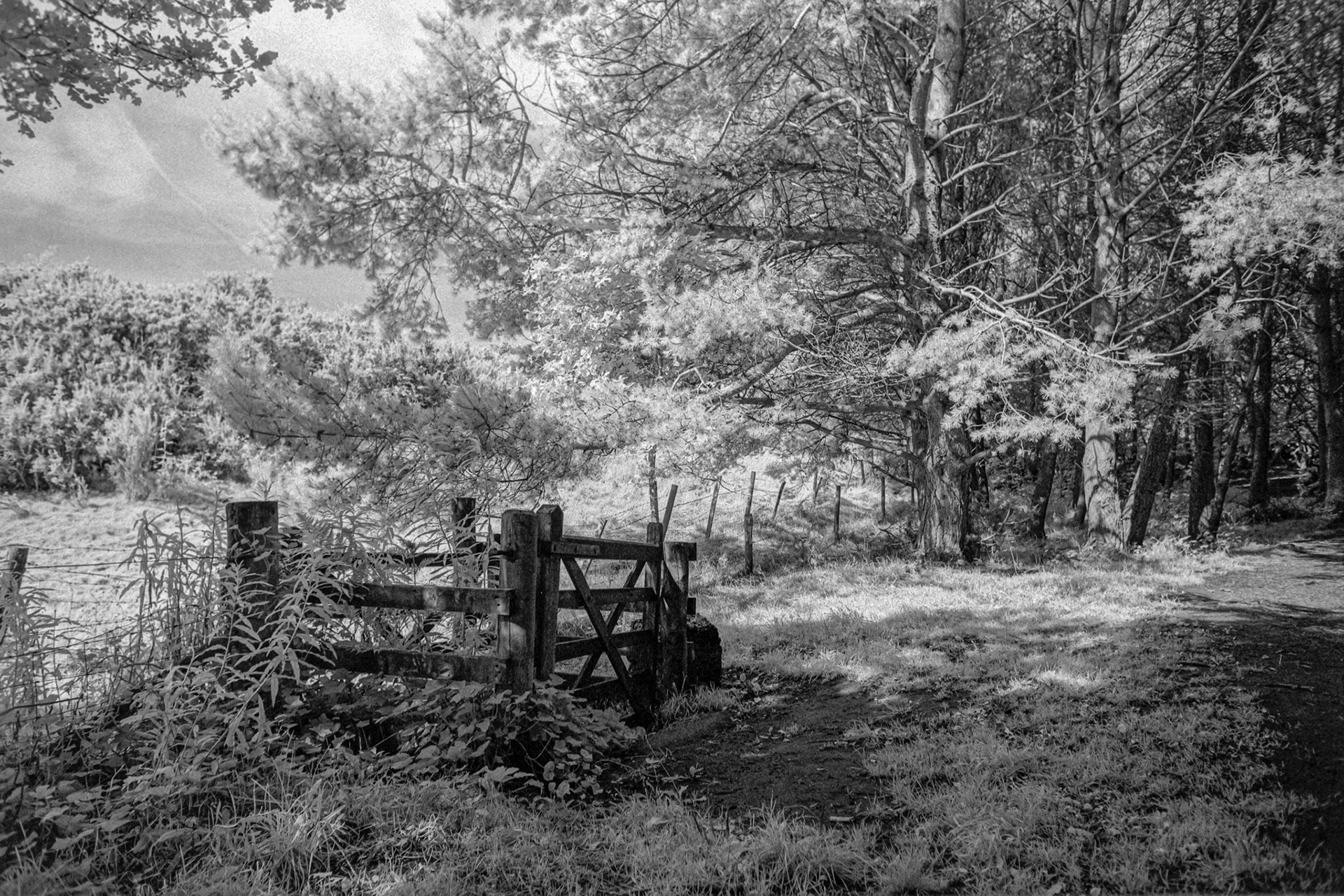 The Gate
