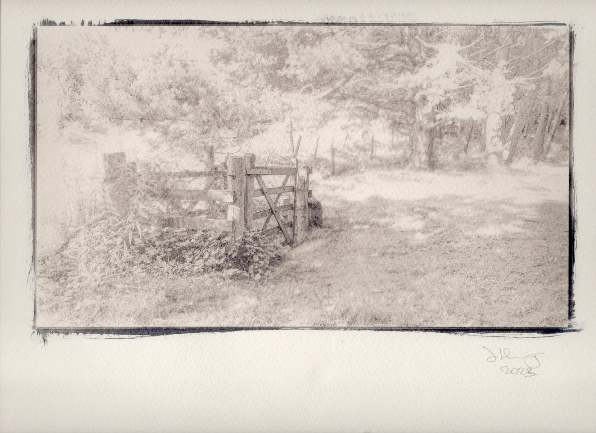 A photograph taken on an iPhone, in Tandle Hills Country Park in Royton. It was printed as a digital negative, then printed in my darkroom as a cyanotype, Once it was washed it was then toned with a strong coffee solution.