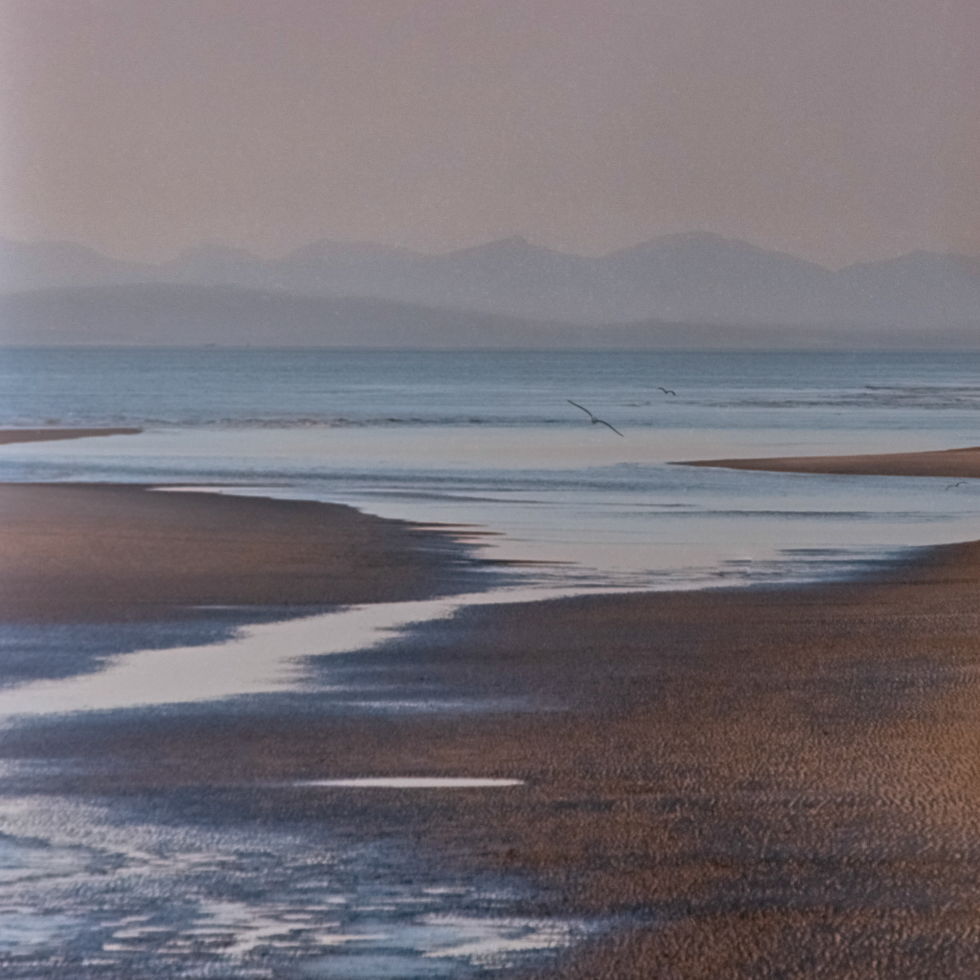 Incoming Tide